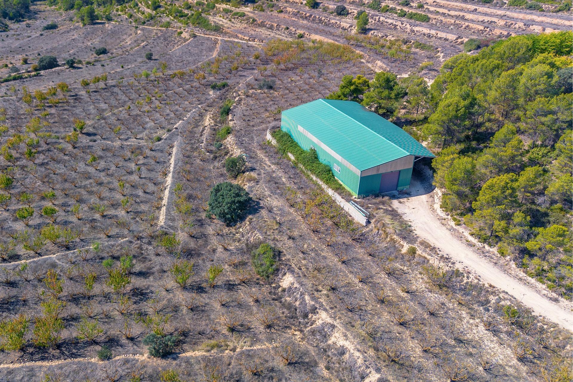 Casas o chalets-Venta-PenÃ guila-2009527-Foto-34