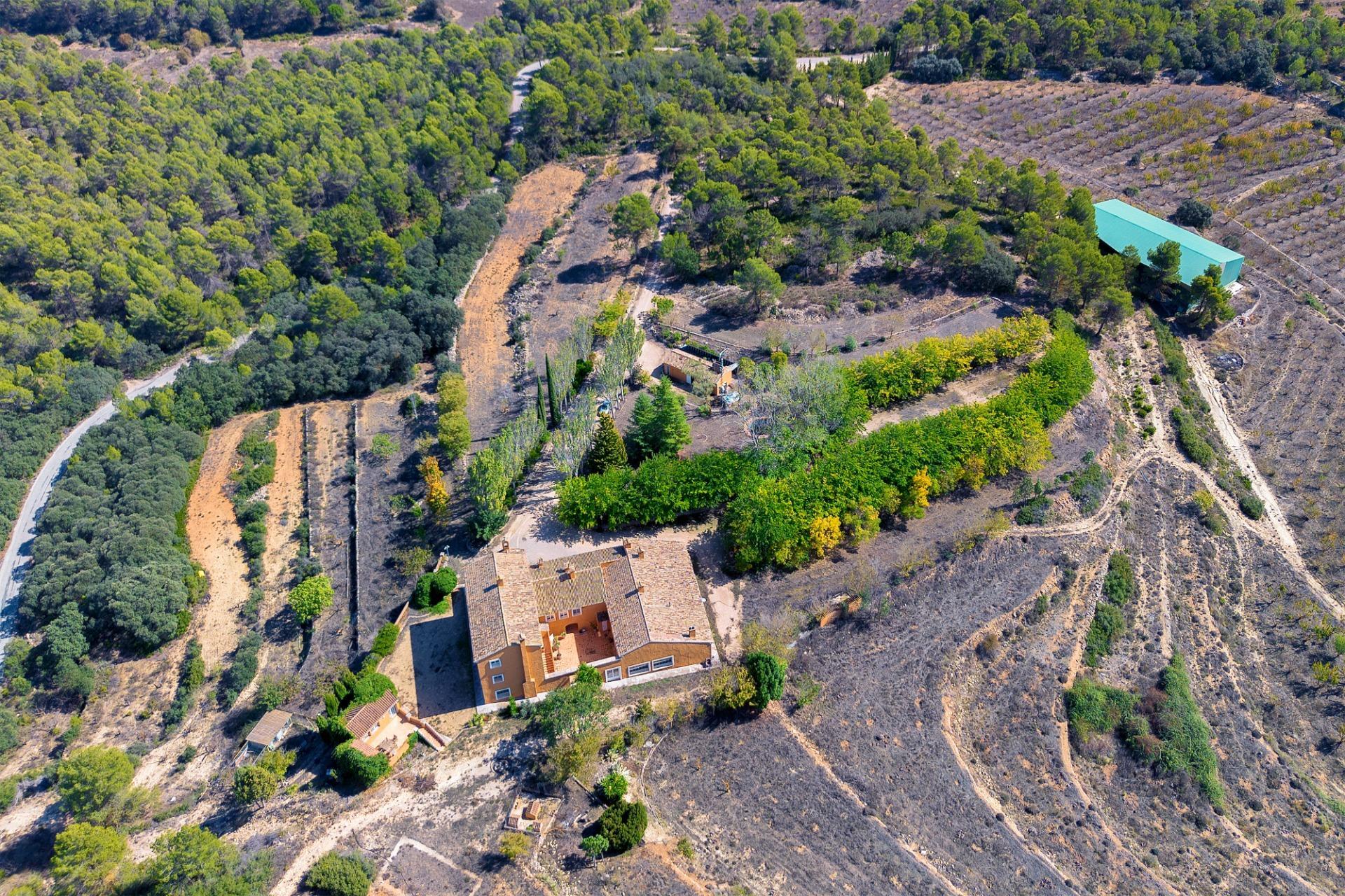 Casas o chalets-Venta-PenÃ guila-2009527-Foto-36