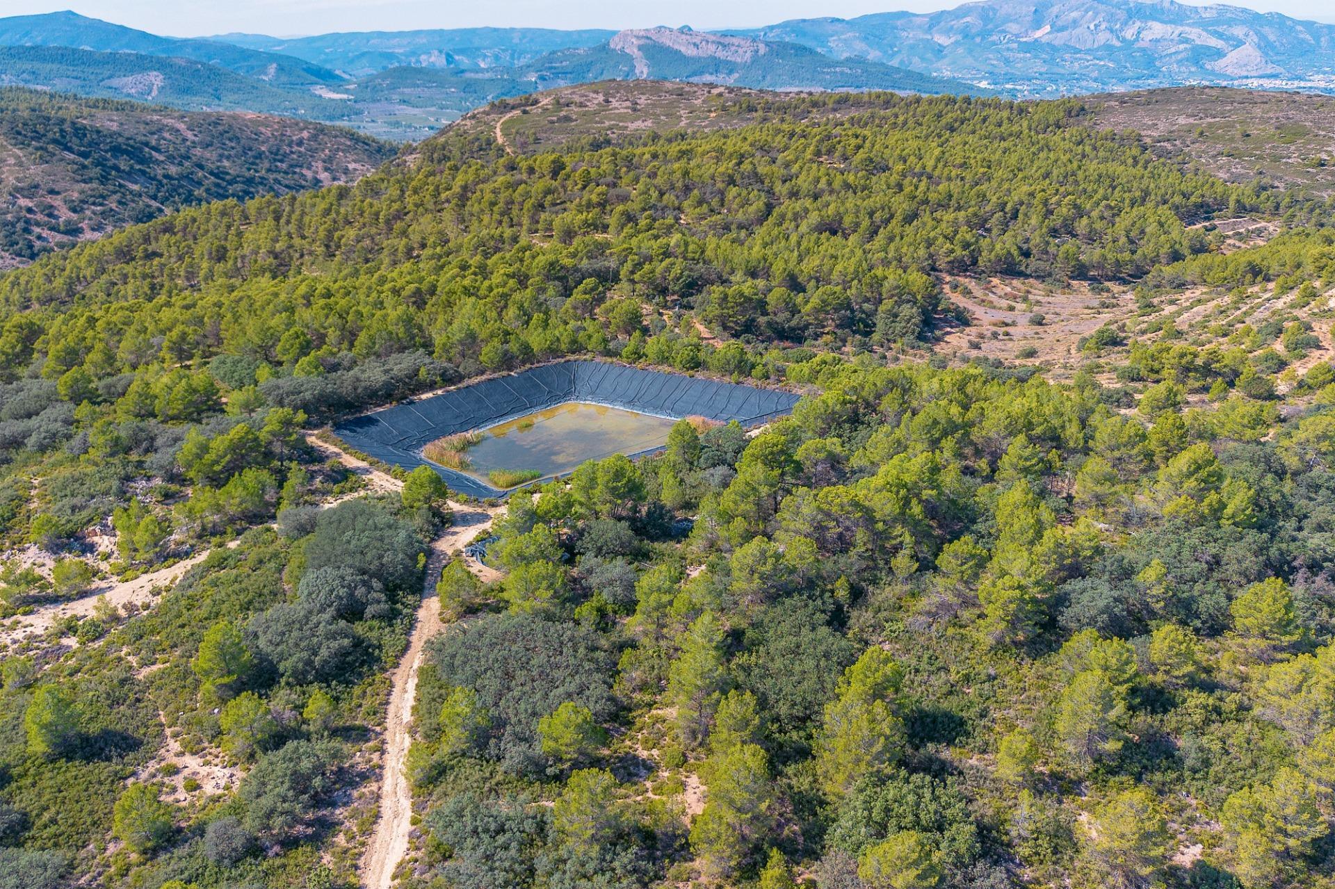 Casas o chalets-Venta-PenÃ guila-2009527-Foto-35