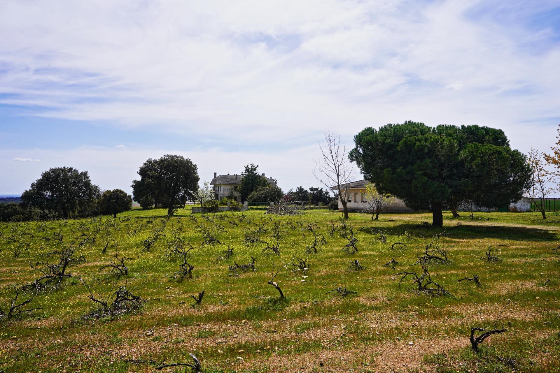 Suelo en venta, Topas, Salamanca, Salamanca