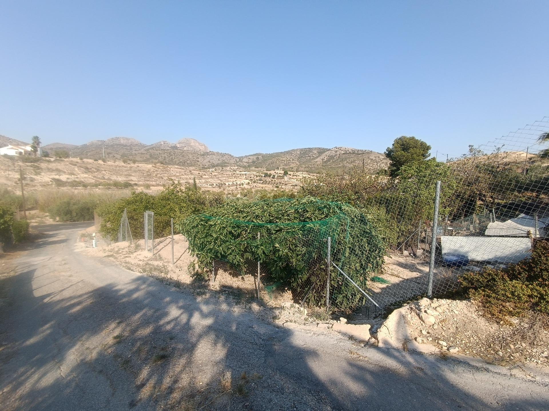 Casas o chalets-Venta-Fortuna-1841822-Foto-26