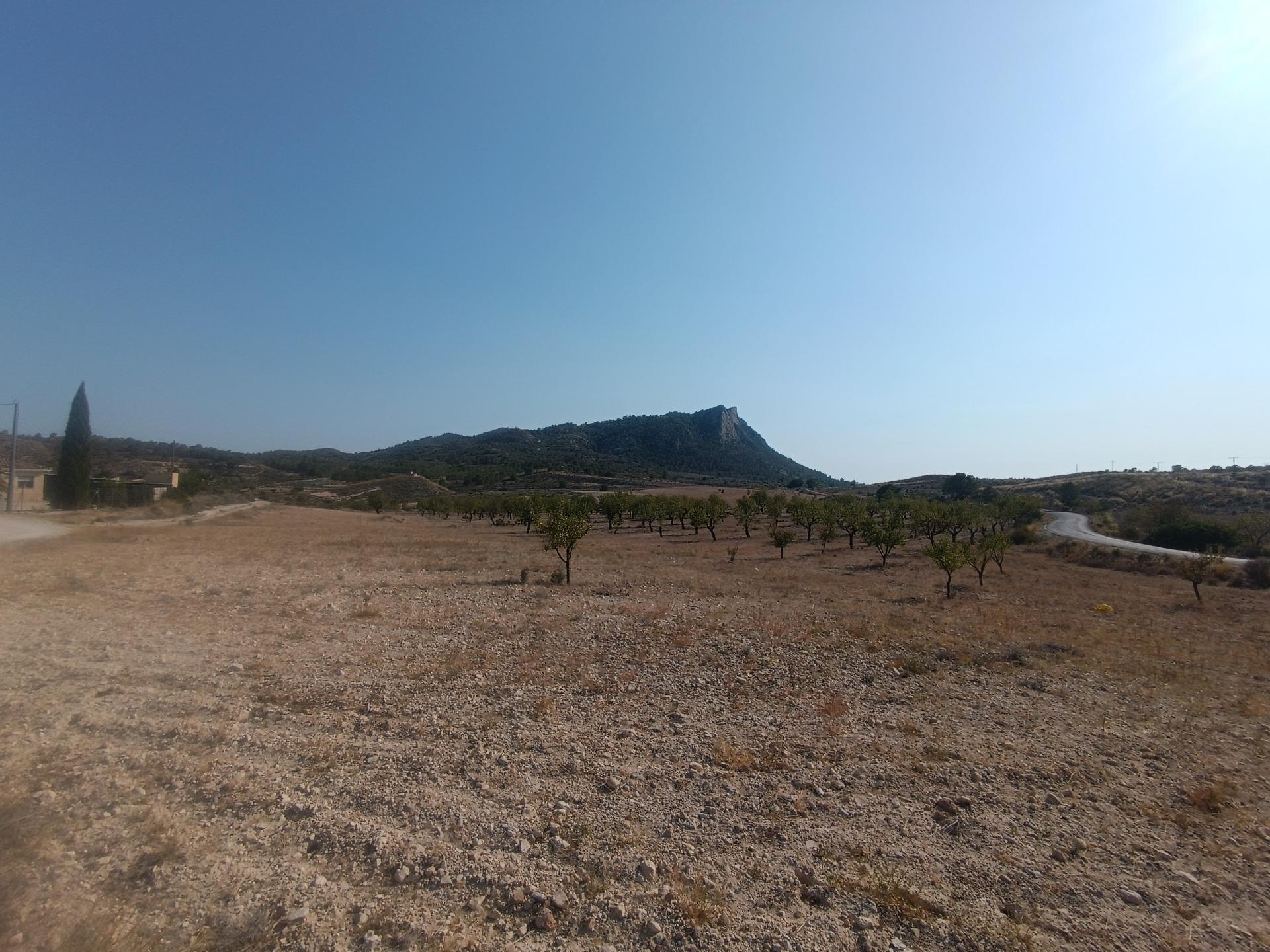 Casas o chalets-Venta-Fortuna-1841822-Foto-33