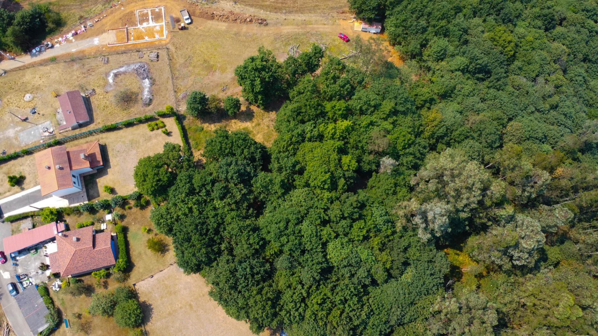 Fincas y solares-Venta-Las Regueras-1838063-Foto-26