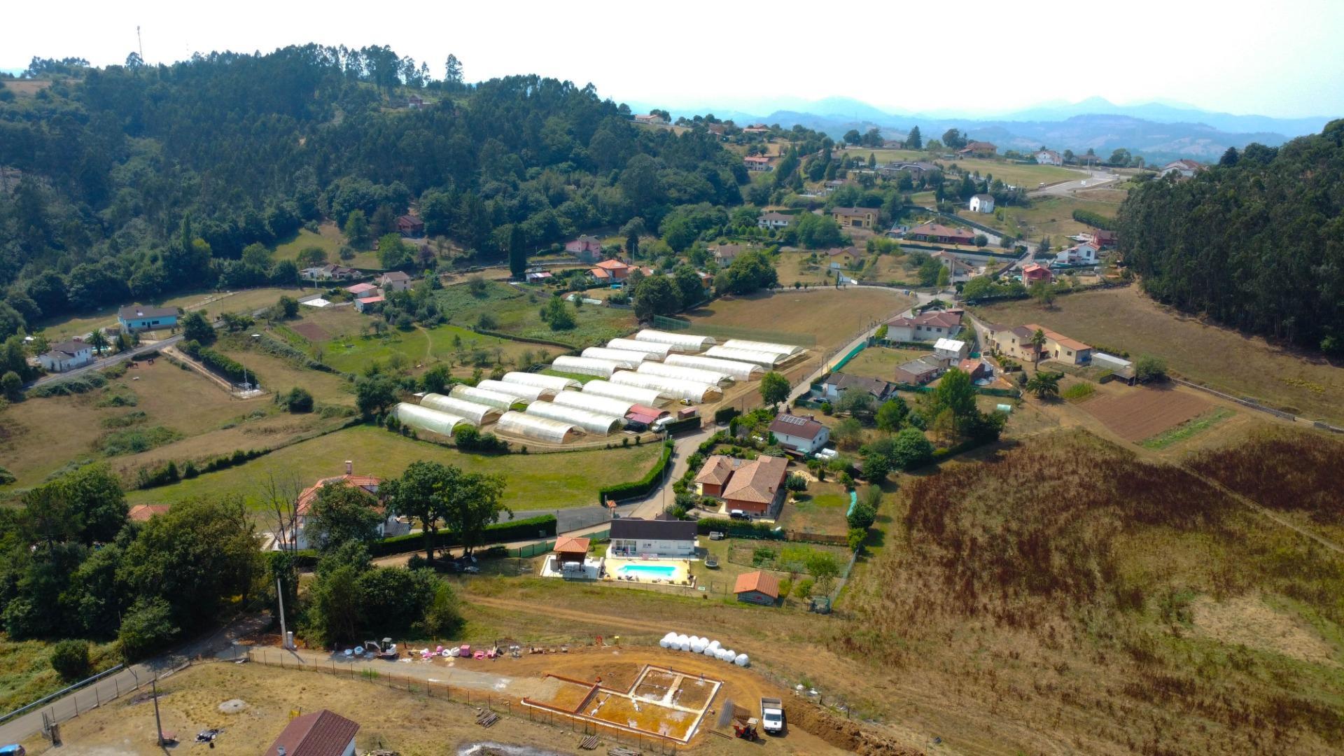 Fincas y solares-Venta-Las Regueras-1838063-Foto-30