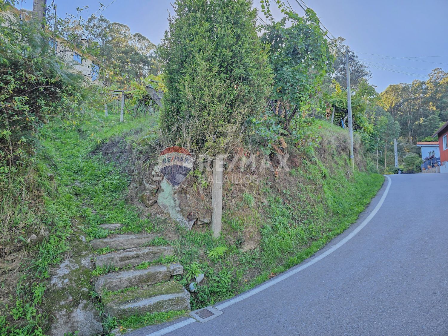 Plot in Vigo