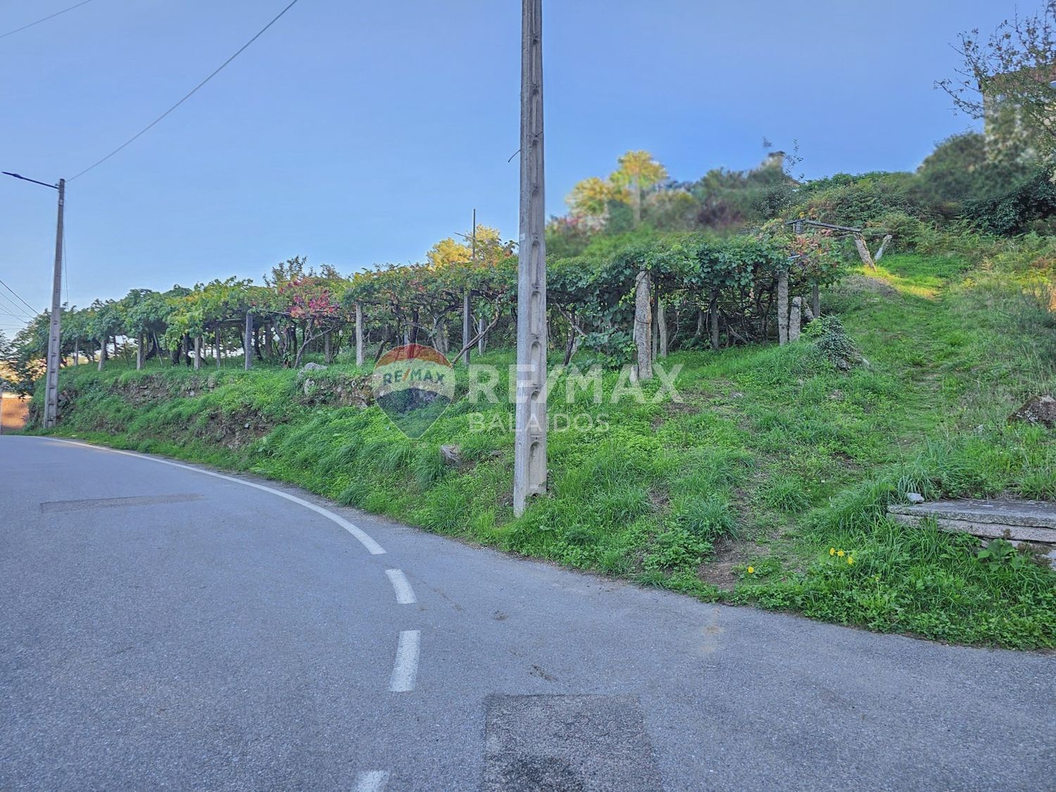 Plot in Vigo