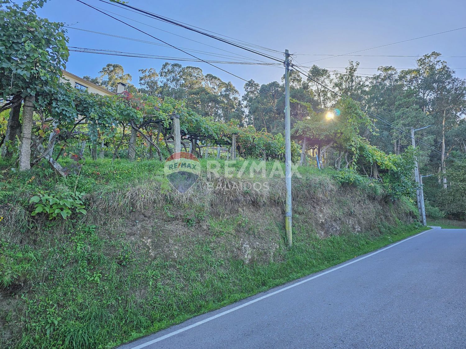 Plot in Vigo