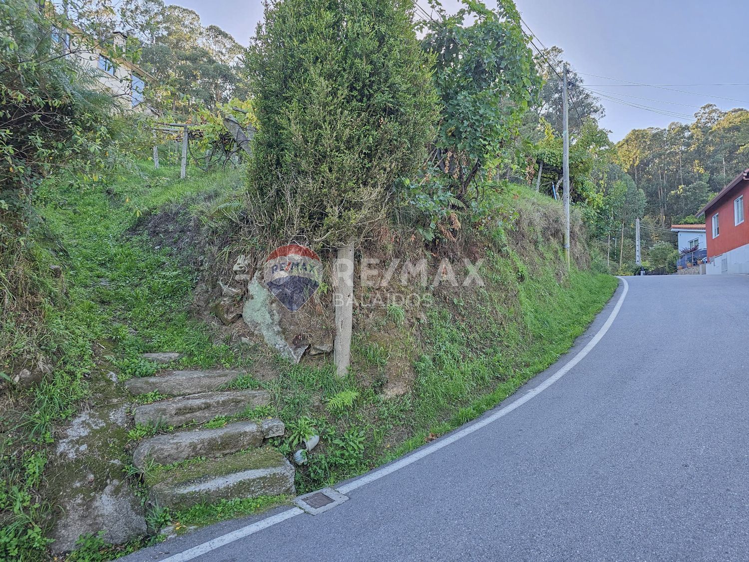 Plot in Vigo
