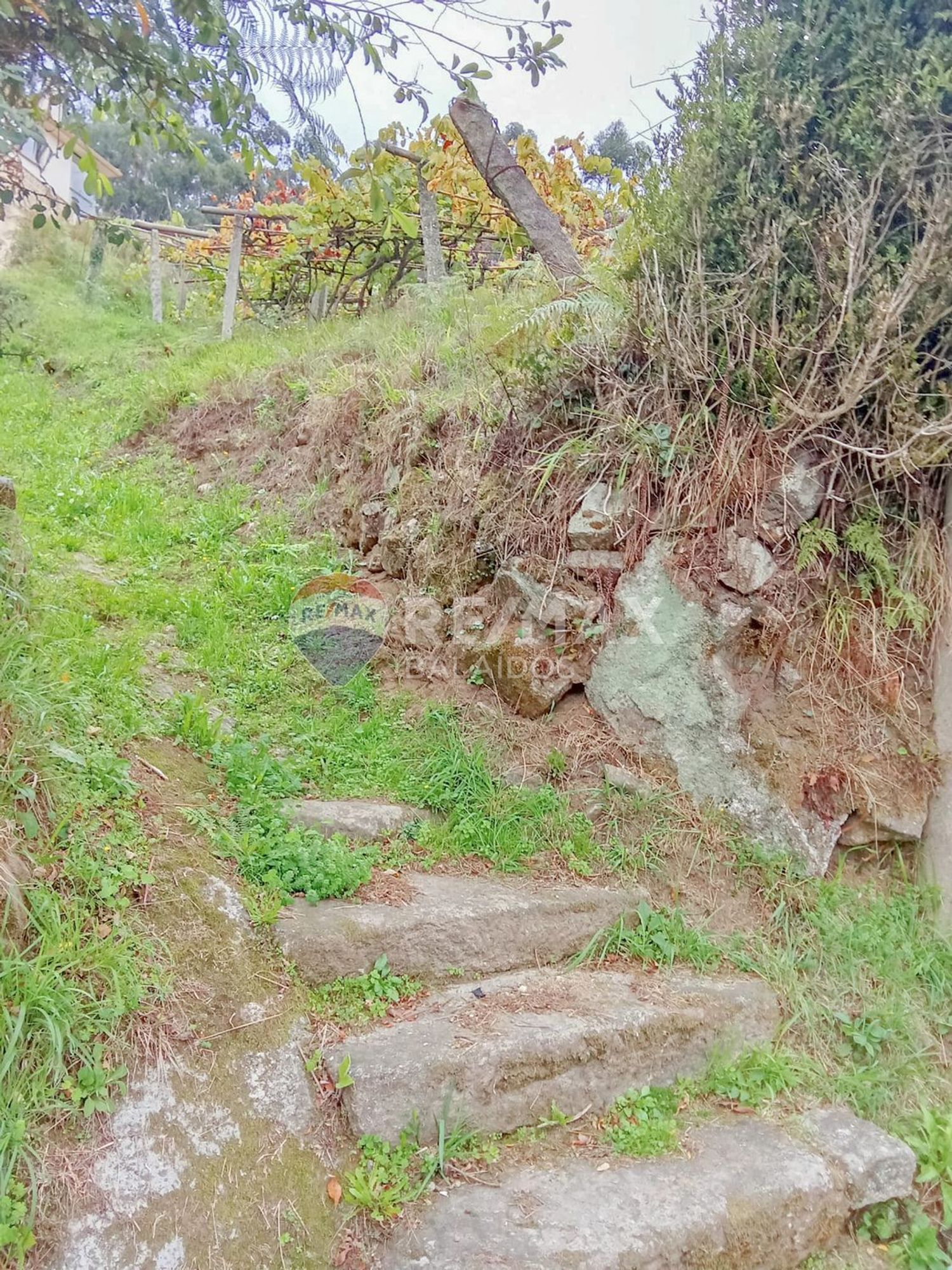 Plot in Vigo