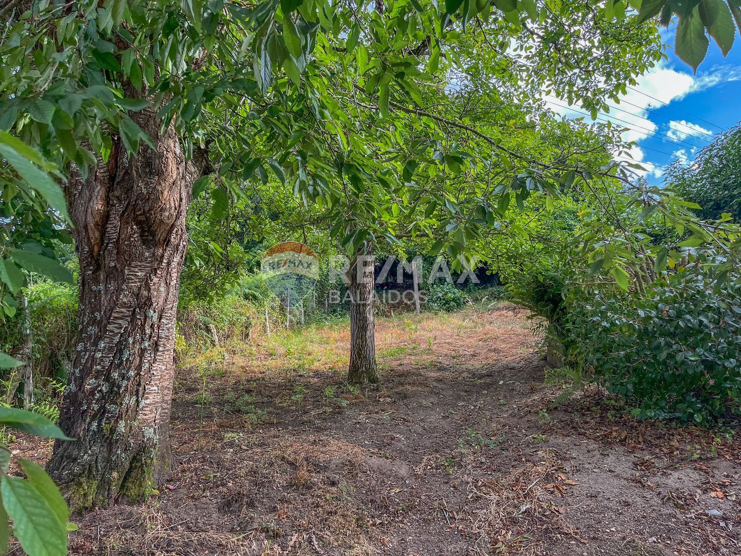 Propiedad en venta en Pontevedra, Vigo