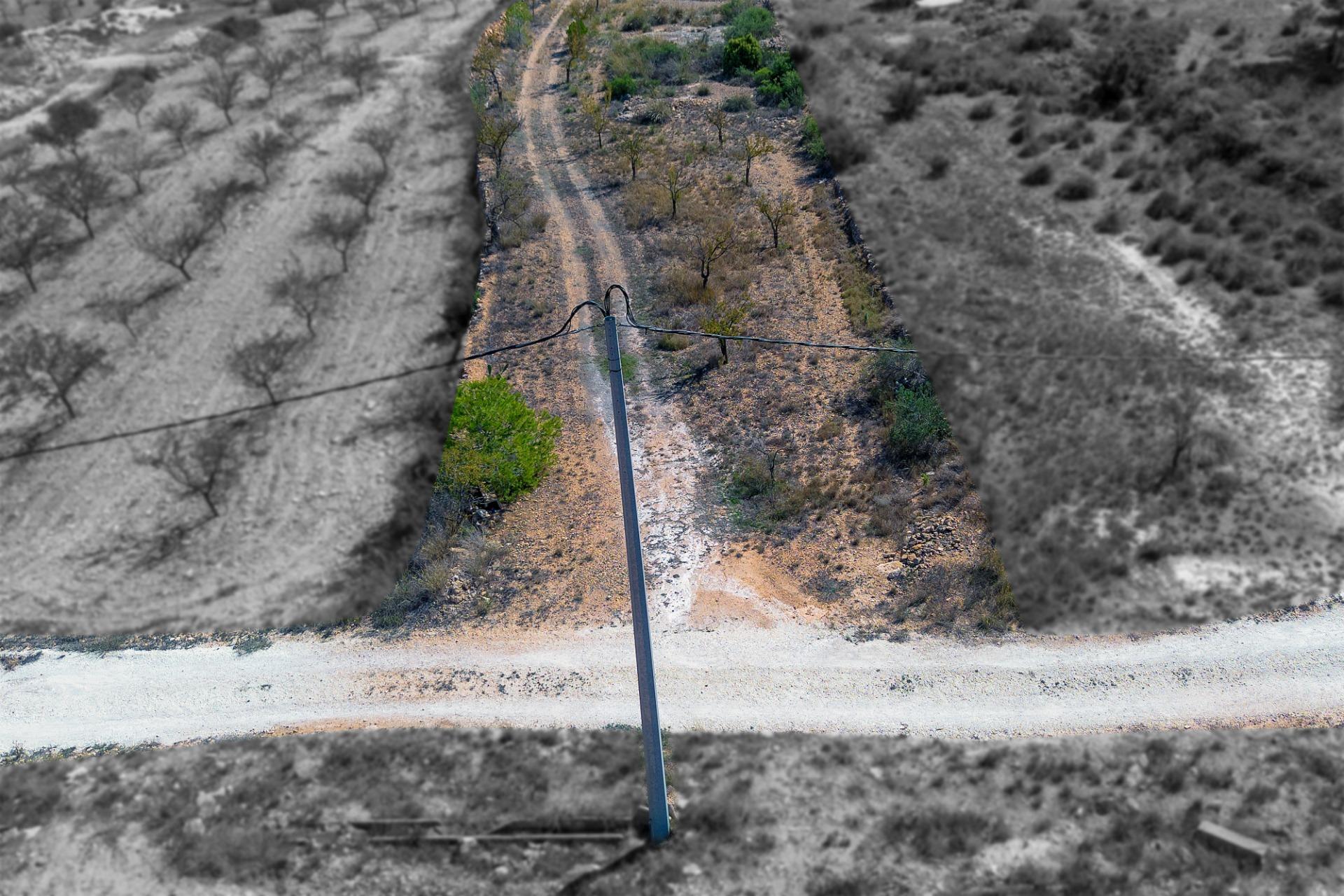 Finca rústica con producción agrícola, tu refugio de campo