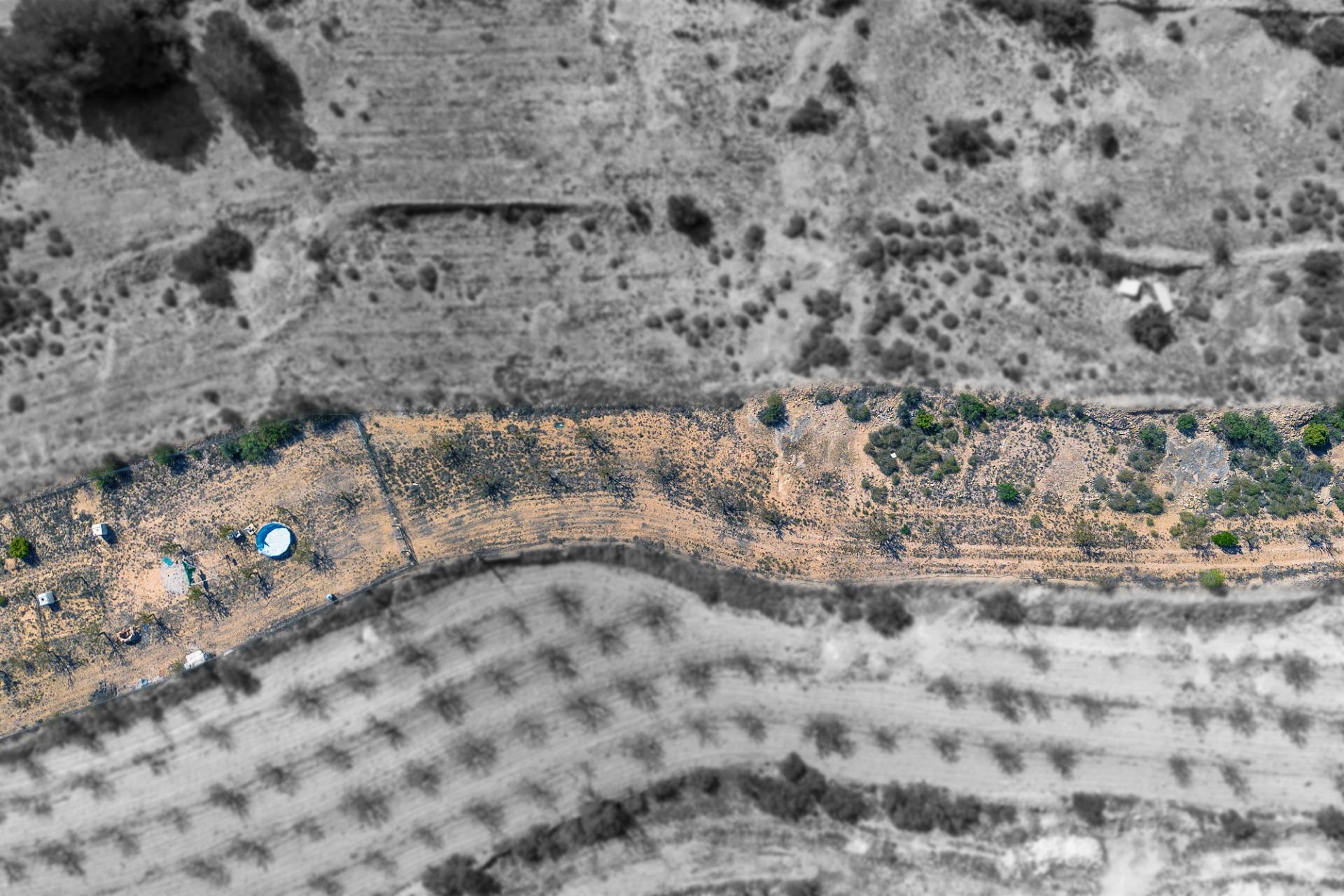 Finca rústica con producción agrícola, tu refugio de campo