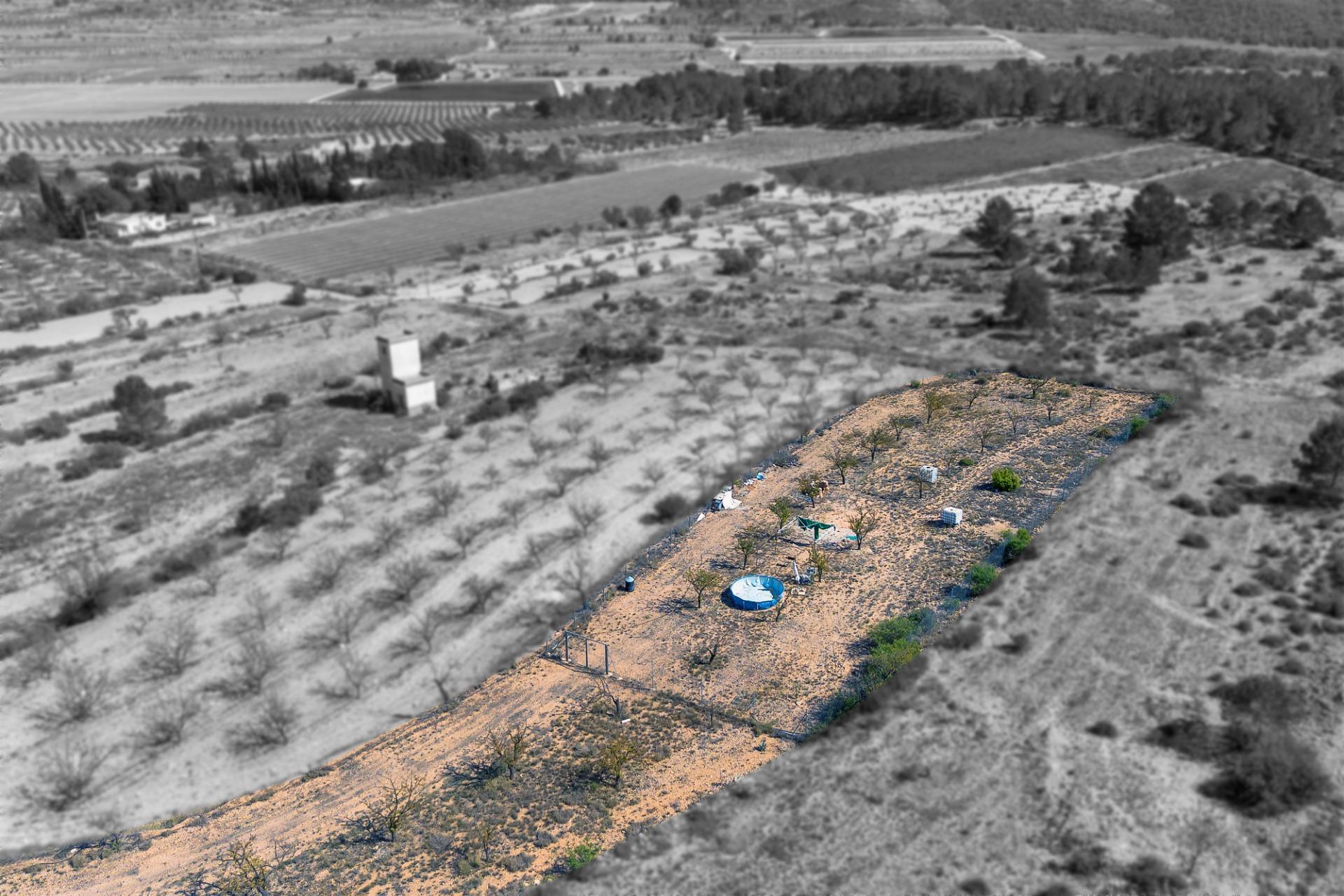 Finca rústica con producción agrícola, tu refugio de campo