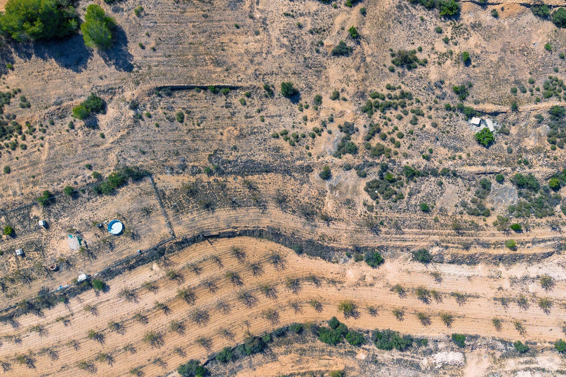 Finca rústica con producción agrícola, tu refugio de campo