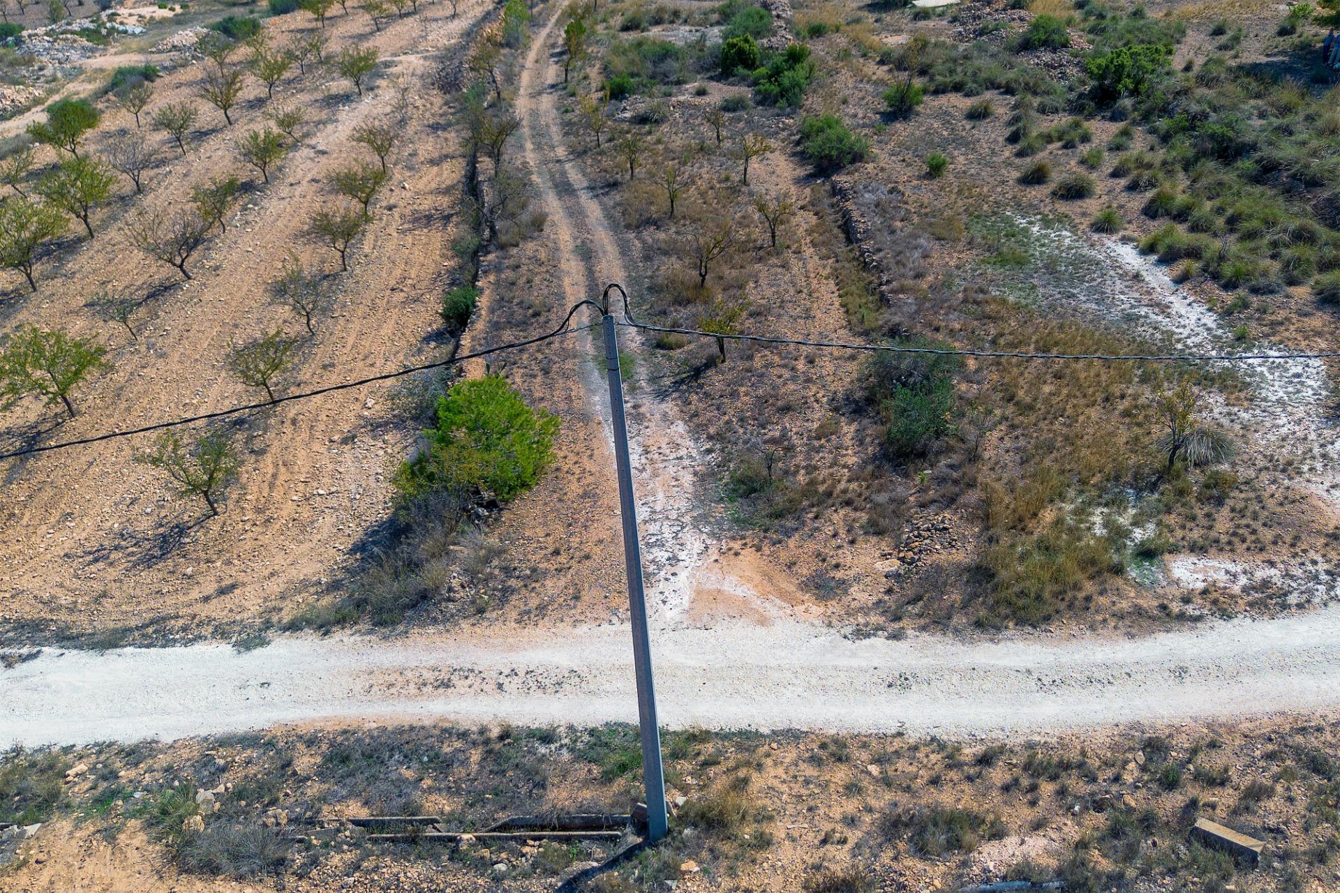 Finca rústica con producción agrícola, tu refugio de campo
