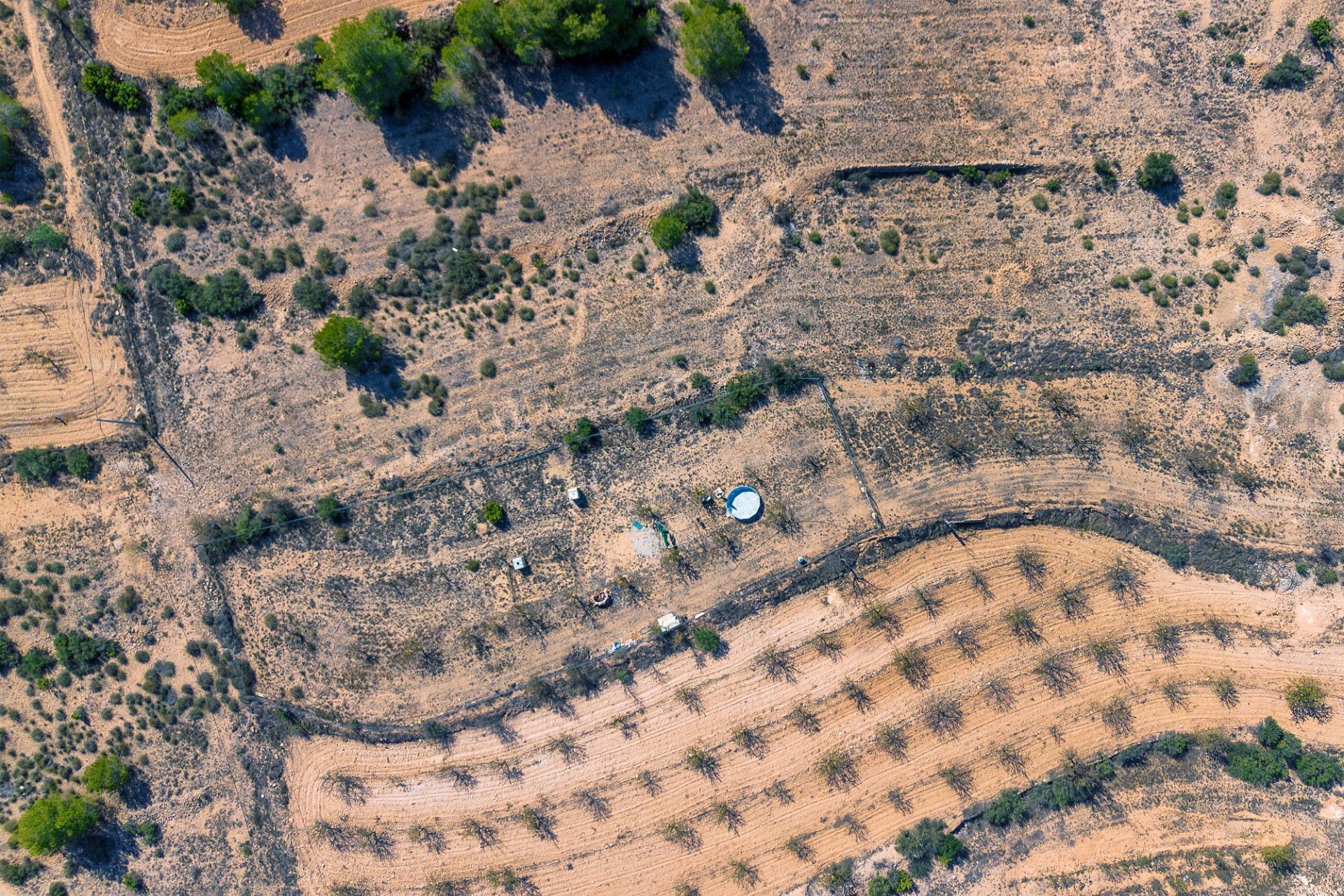 Finca rústica con producción agrícola, tu refugio de campo
