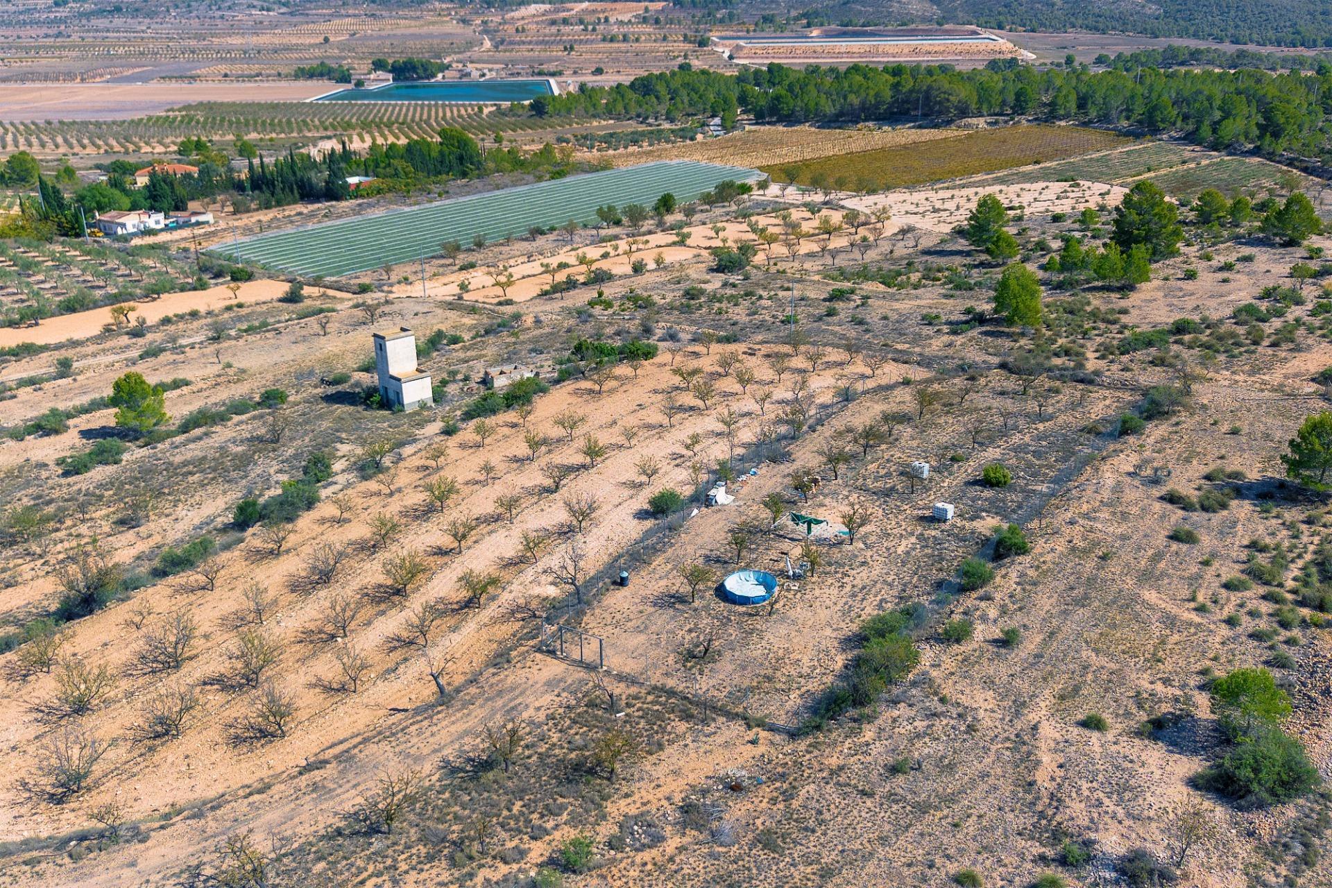 Finca rústica con producción agrícola, tu refugio de campo