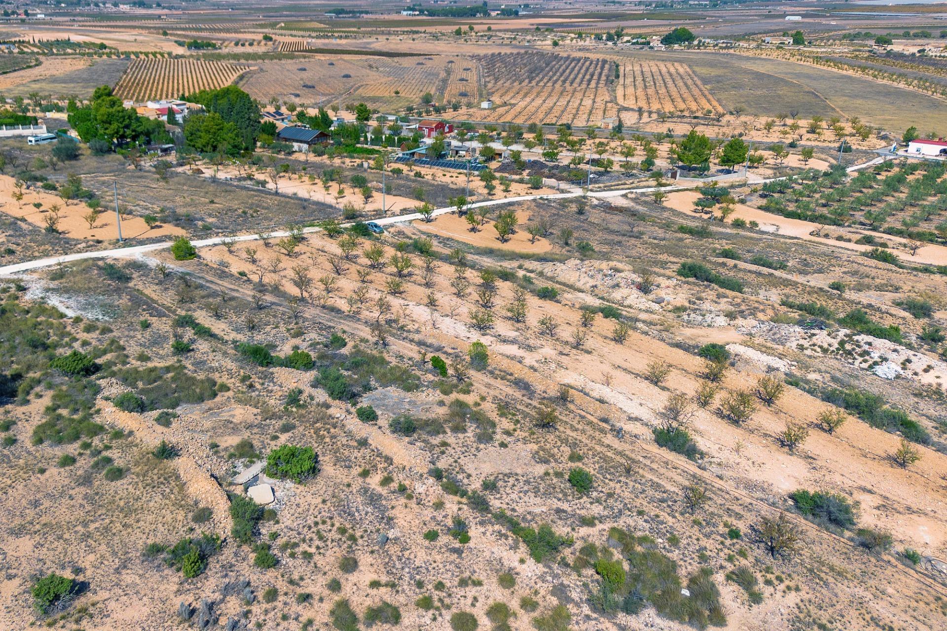 Finca rústica con producción agrícola, tu refugio de campo