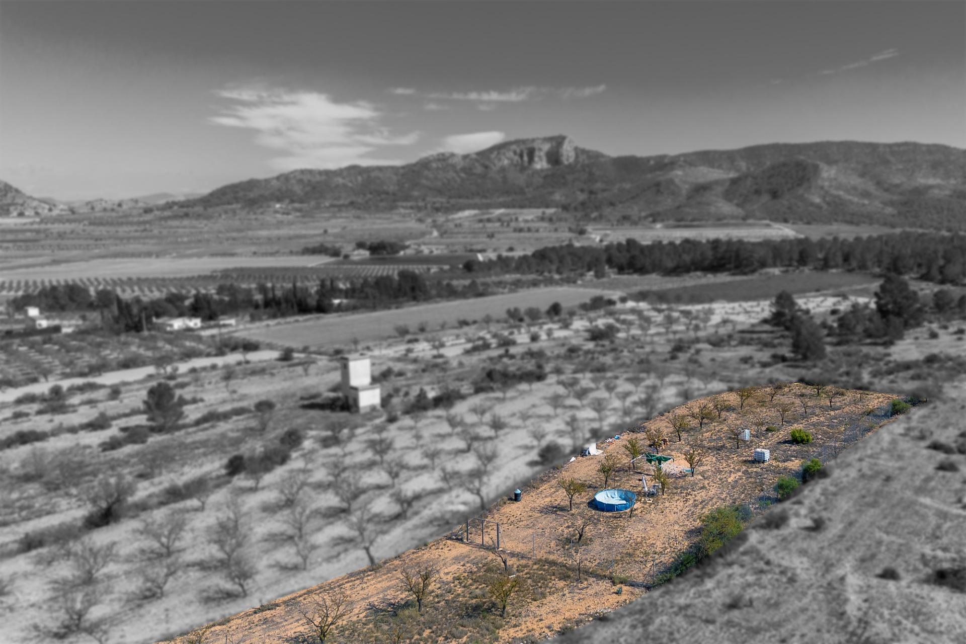 Finca rústica con producción agrícola, tu refugio de campo