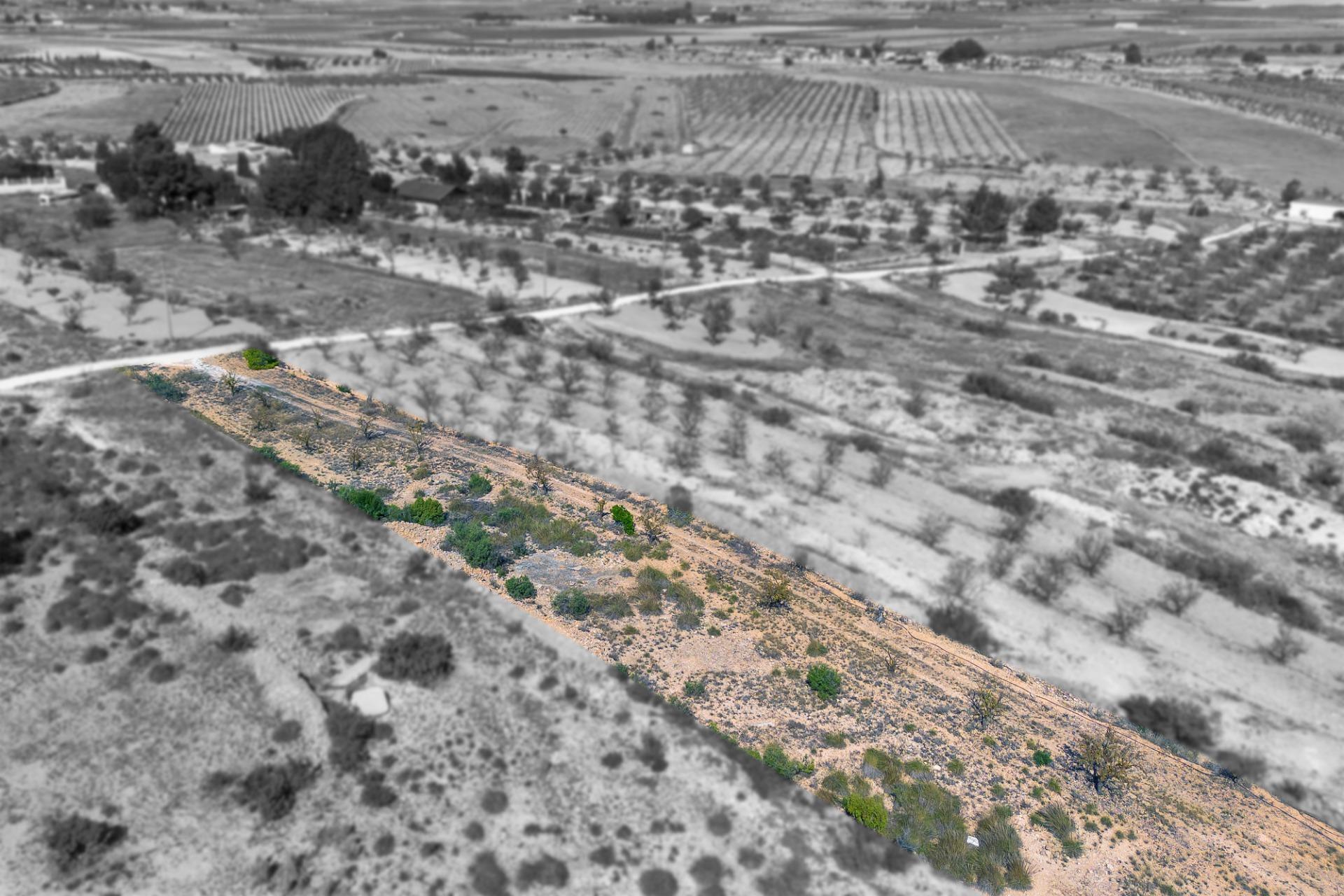 Finca rústica con producción agrícola, tu refugio de campo