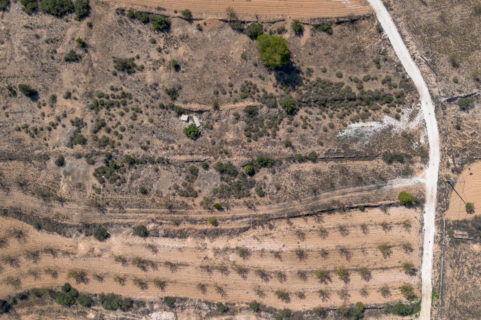 Finca rústica con producción agrícola, tu refugio de campo