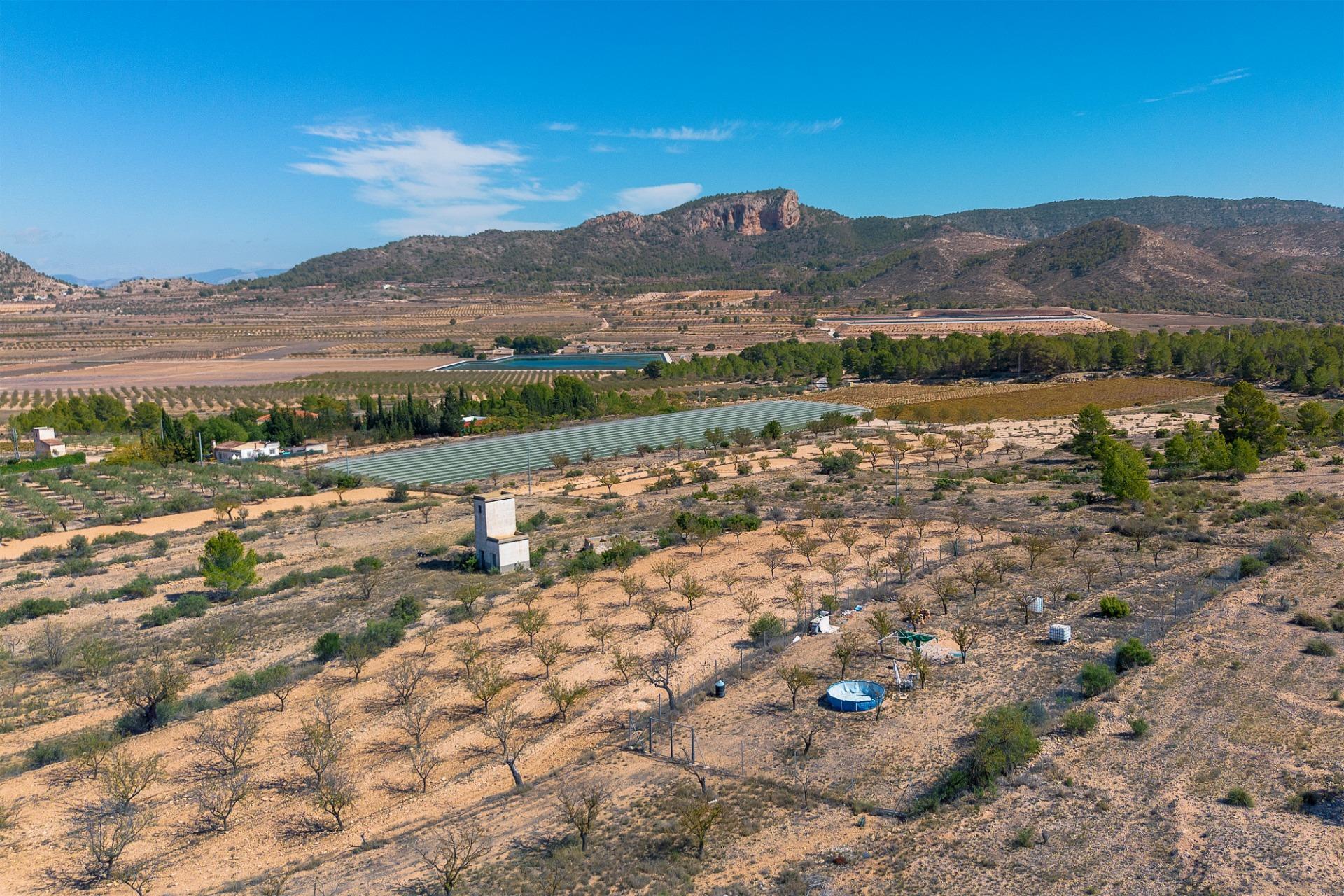 Finca rústica con producción agrícola, tu refugio de campo