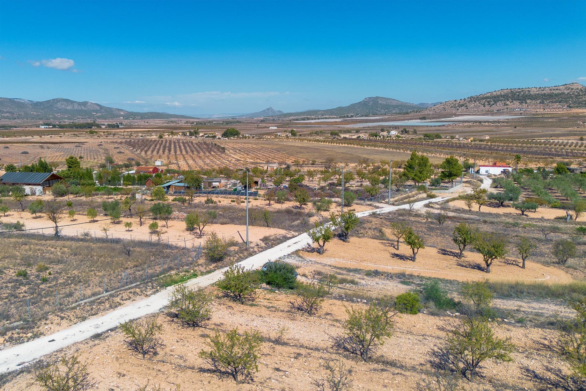 Finca rústica con producción agrícola, tu refugio de campo