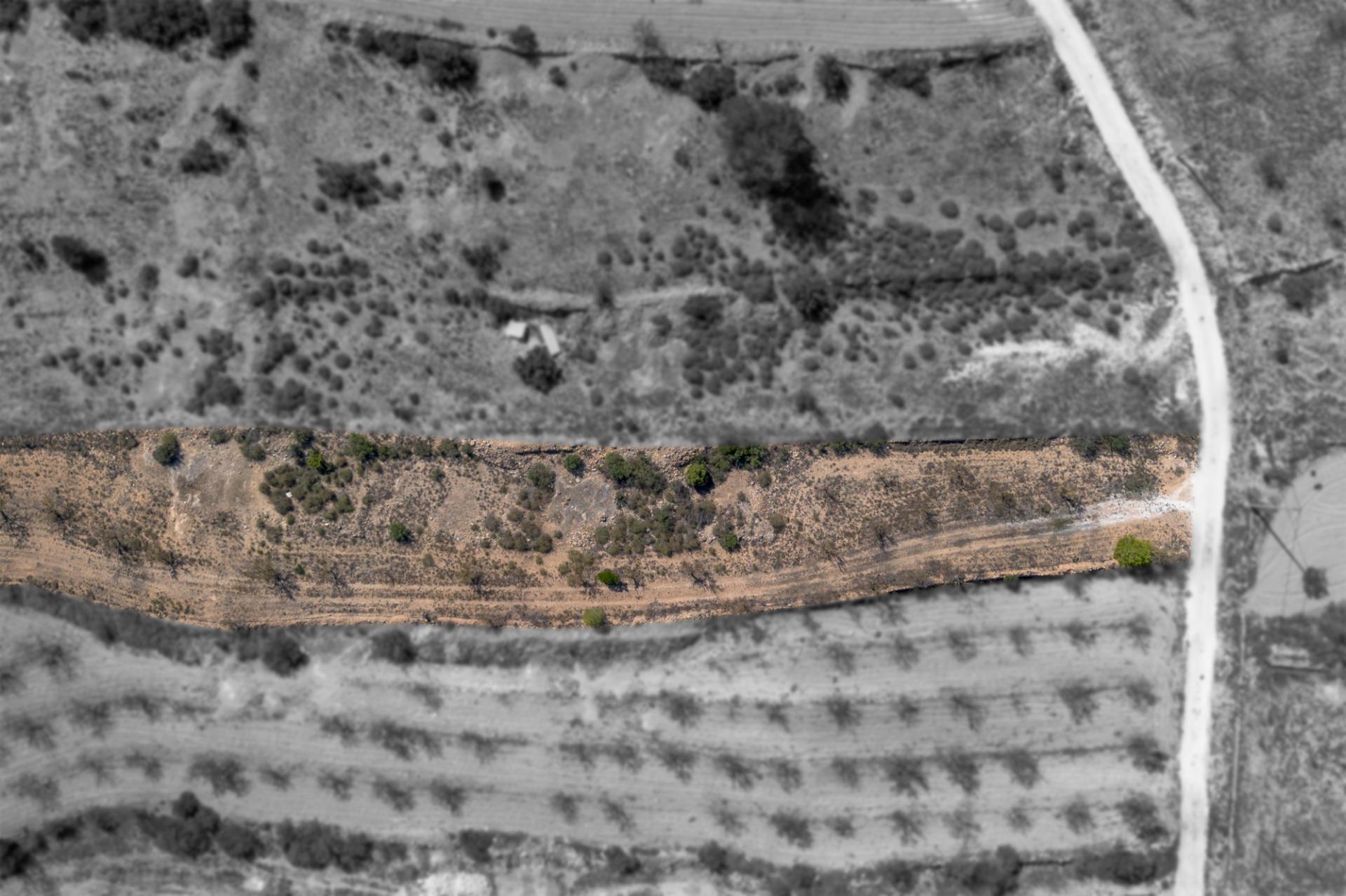 Finca rústica con producción agrícola, tu refugio de campo