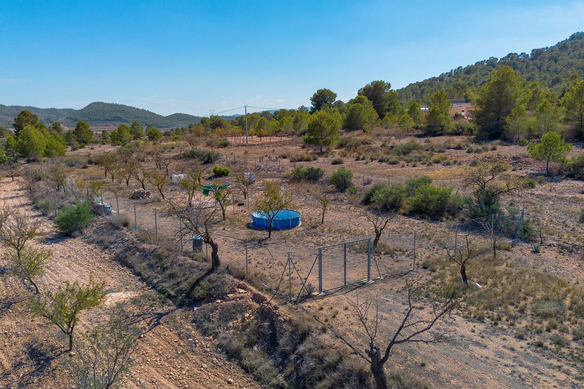 Finca rústica con producción agrícola, tu refugio de campo