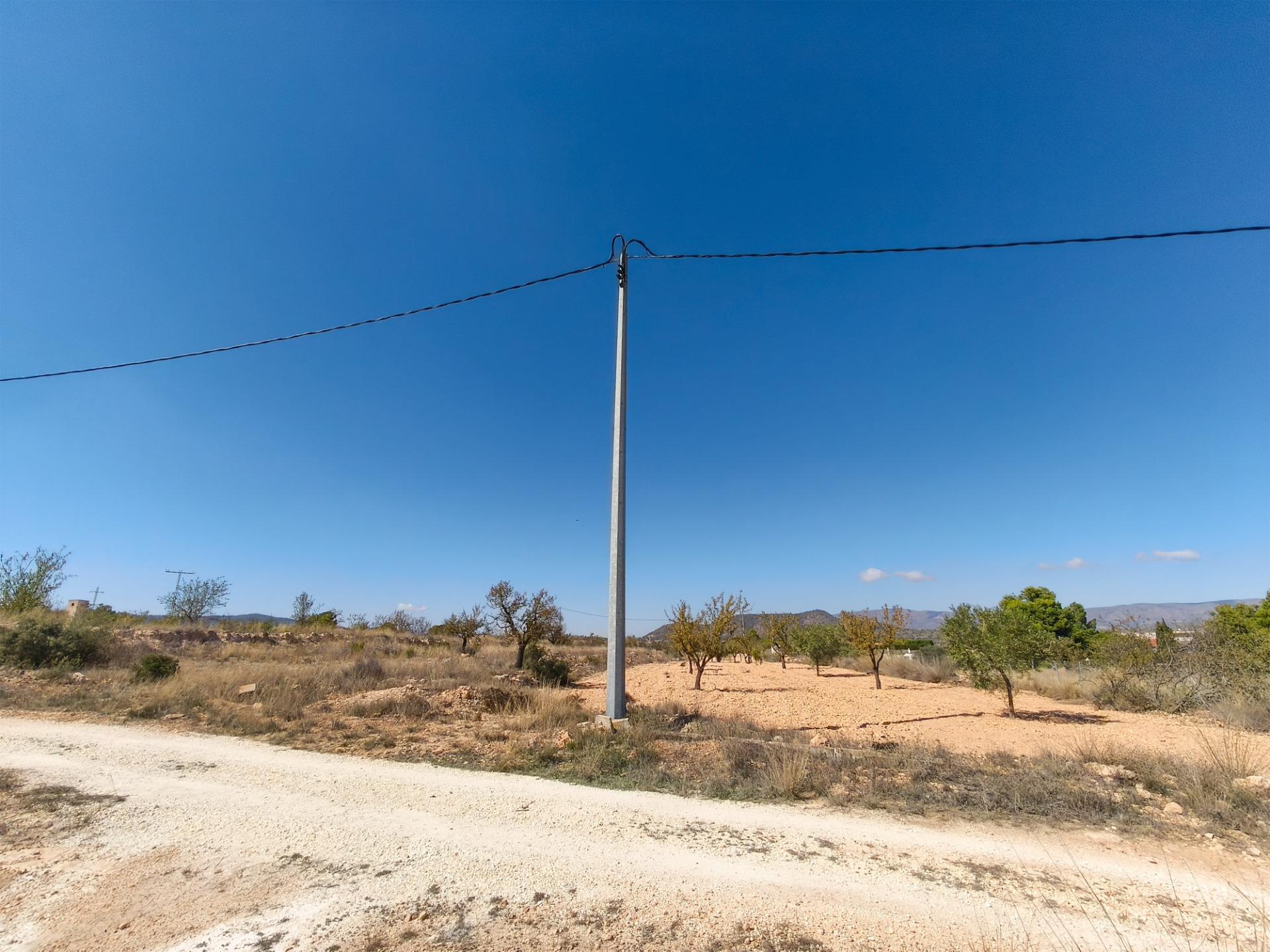 Finca rústica con producción agrícola, tu refugio de campo