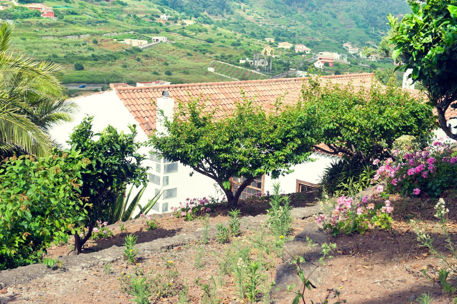 Casas o chalets-Venta-Tegueste-1886113-Foto-20
