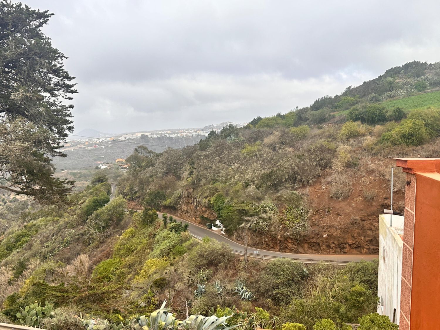 Pisos-Venta-Santa MarÃ­a de GuÃ­a de Gran Canaria-1886161-Foto-53