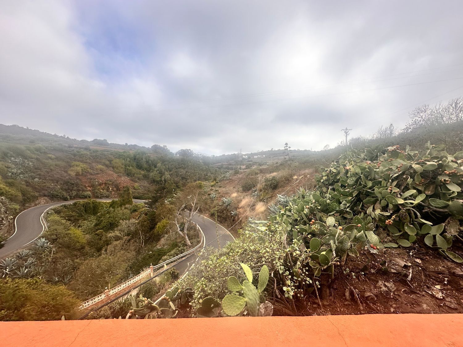 Pisos-Venta-Santa MarÃ­a de GuÃ­a de Gran Canaria-1886161-Foto-64