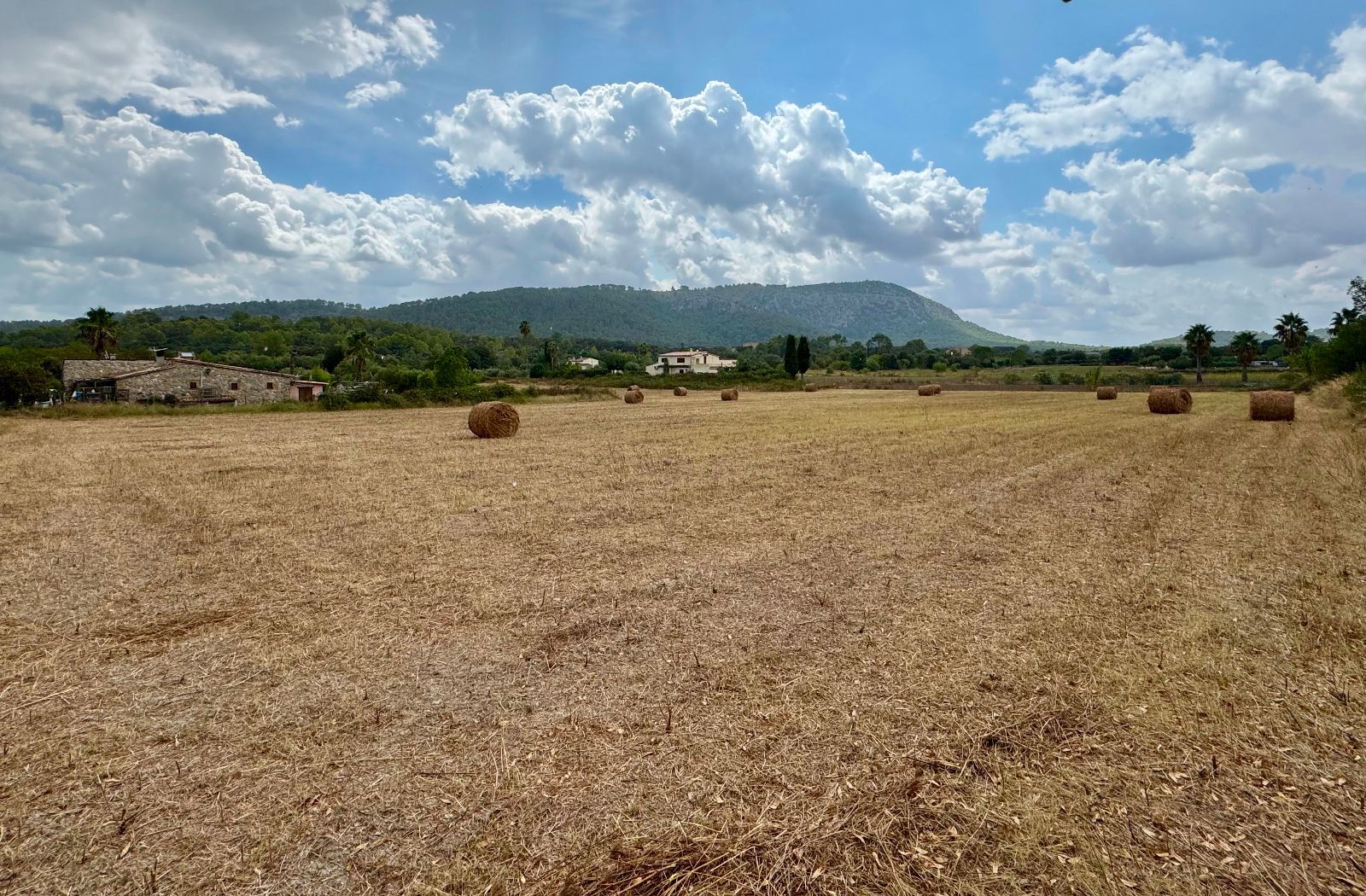 Fincas y solares-Venta-PollenÃ§a-1734190-Foto-6