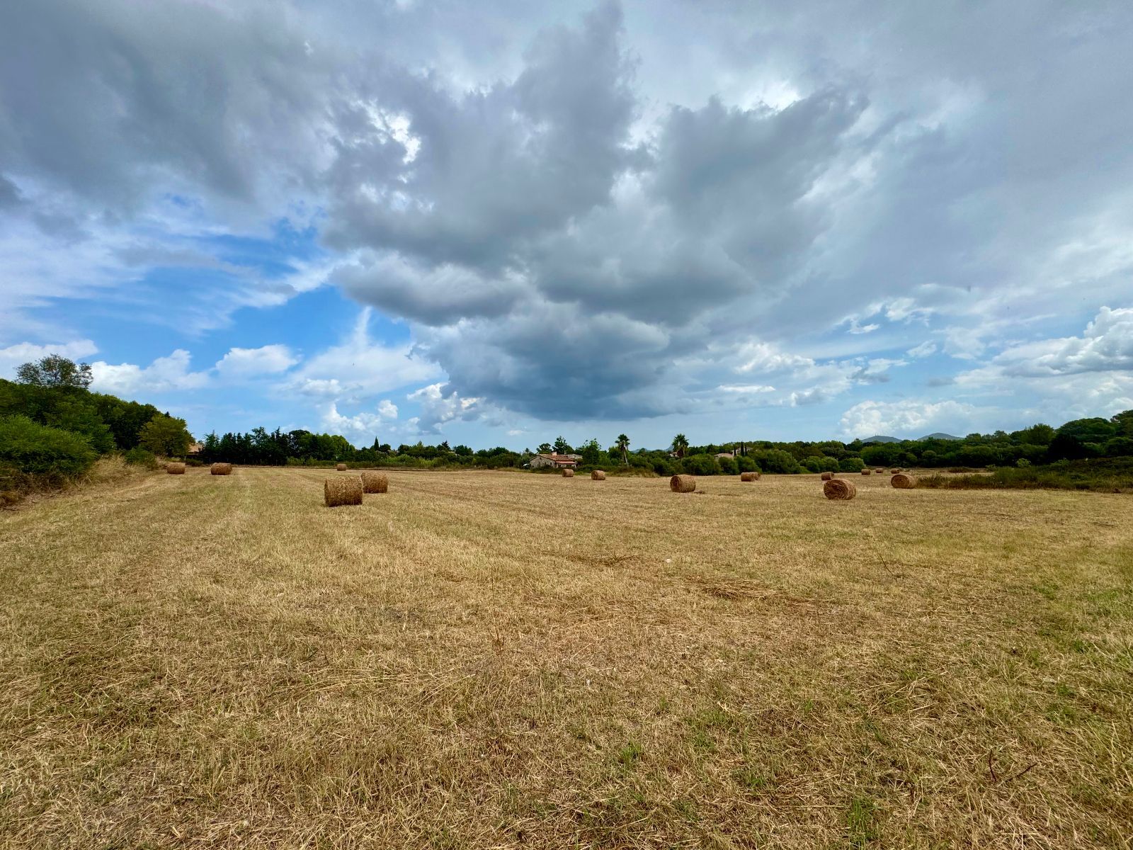 Fincas y solares-Venta-PollenÃ§a-1734190-Foto-8