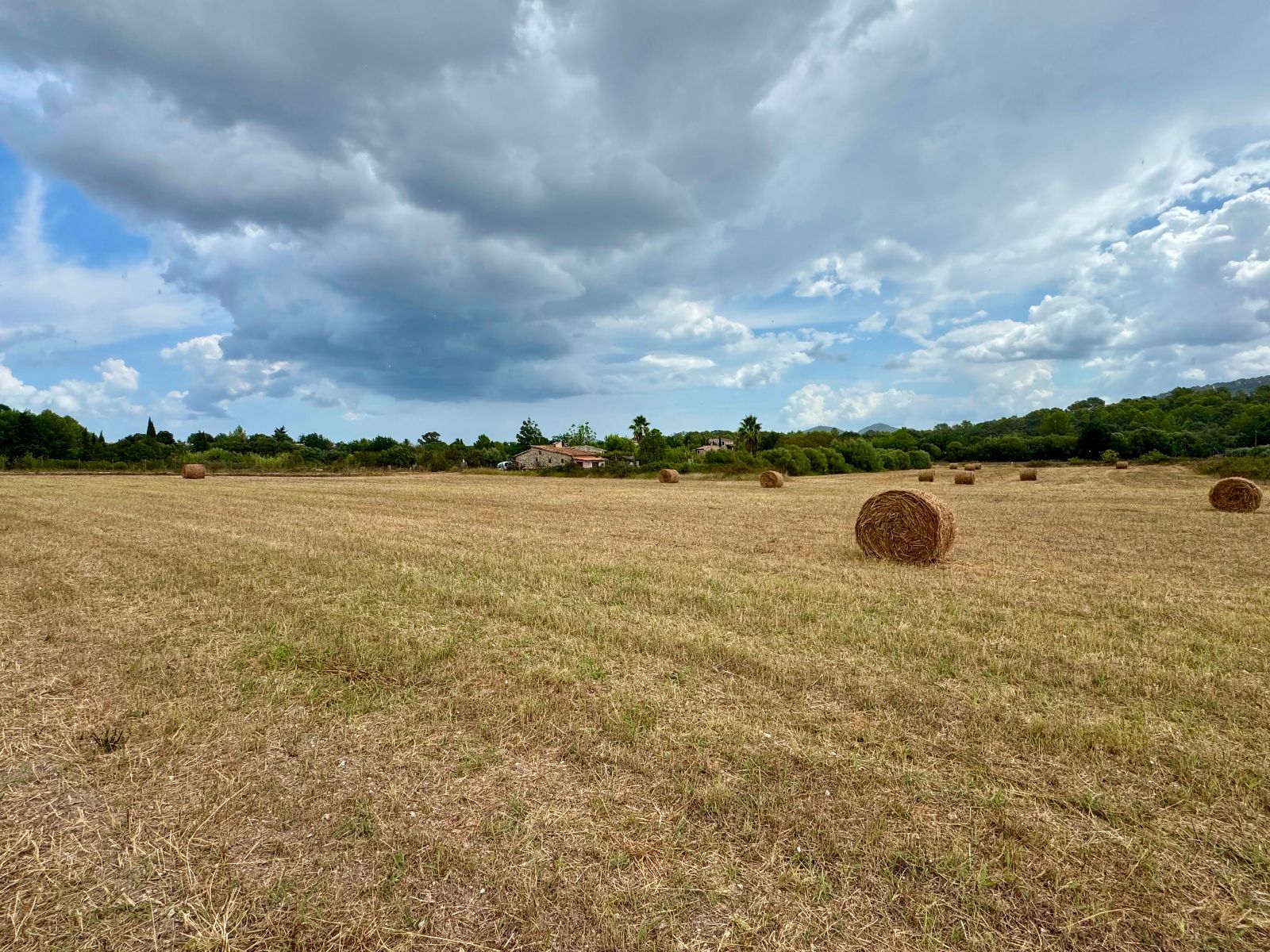 Fincas y solares-Venta-PollenÃ§a-1734190-Foto-7