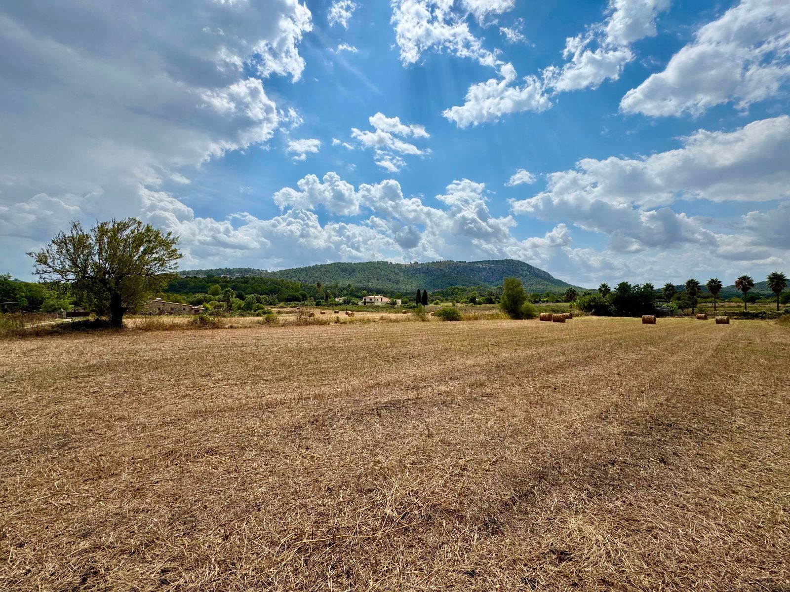 Fincas y solares-Venta-PollenÃ§a-1734190-Foto-9