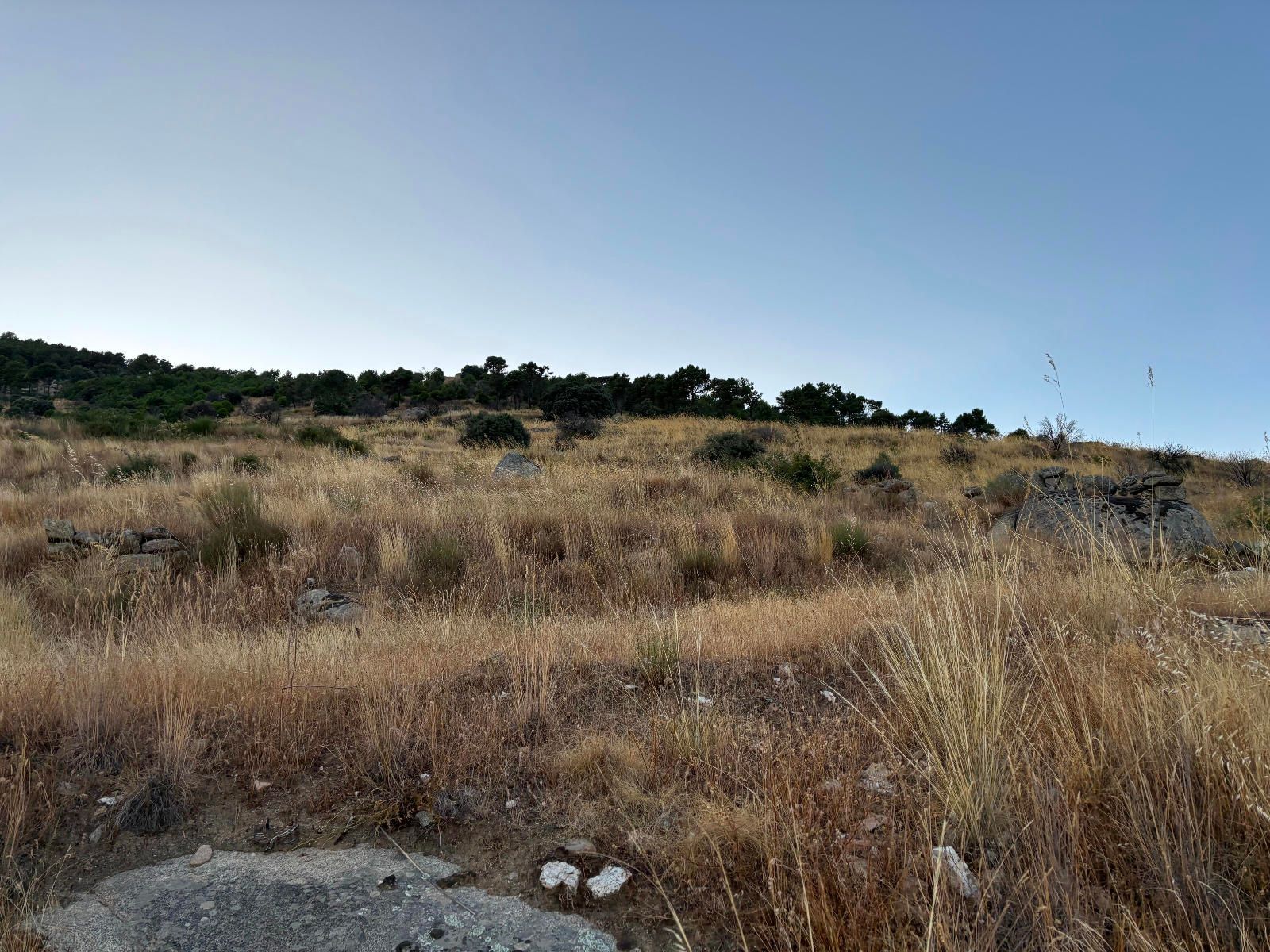 Fincas y solares-Venta-Ãvila-1886167-Foto-9