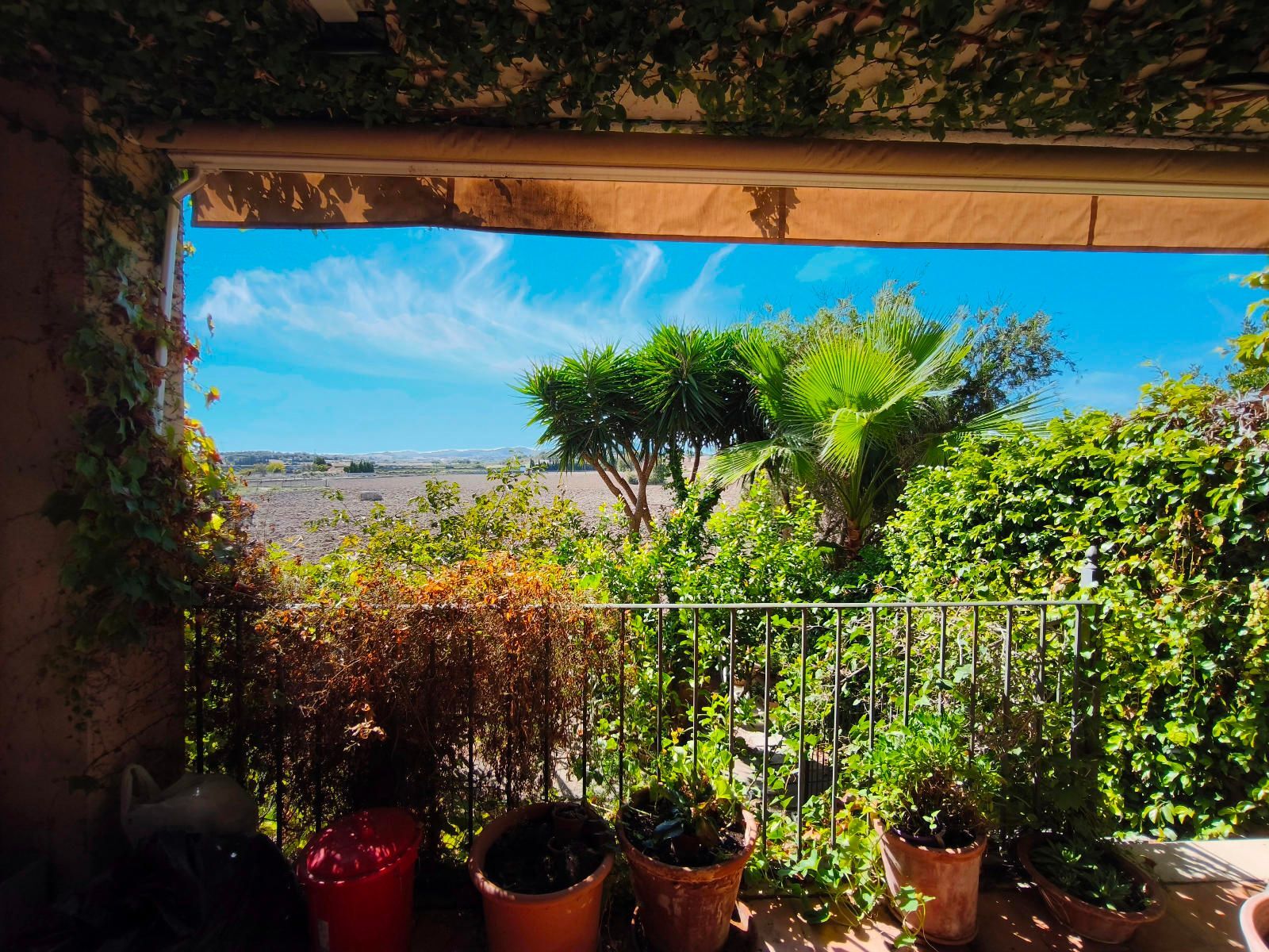 Pisos-Venta-Montuïri-1886176-Foto-18