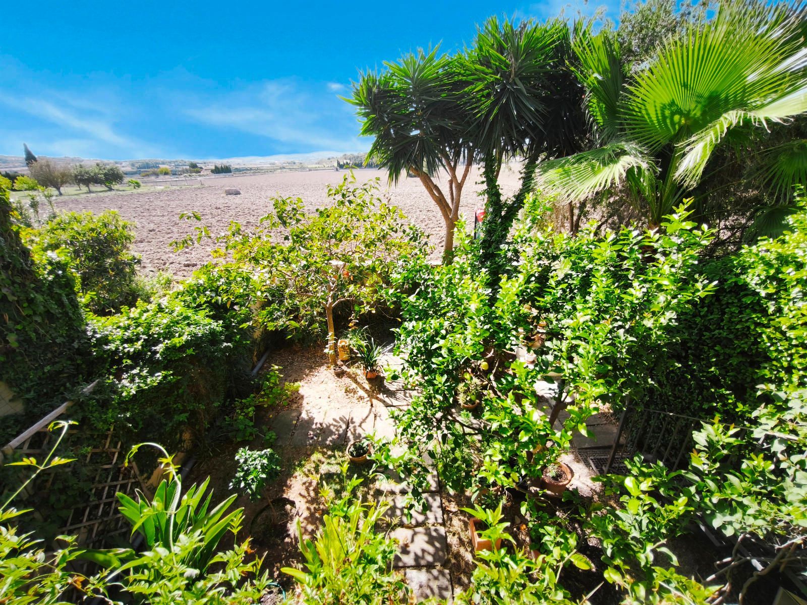Pisos-Venta-Montuïri-1886176-Foto-19