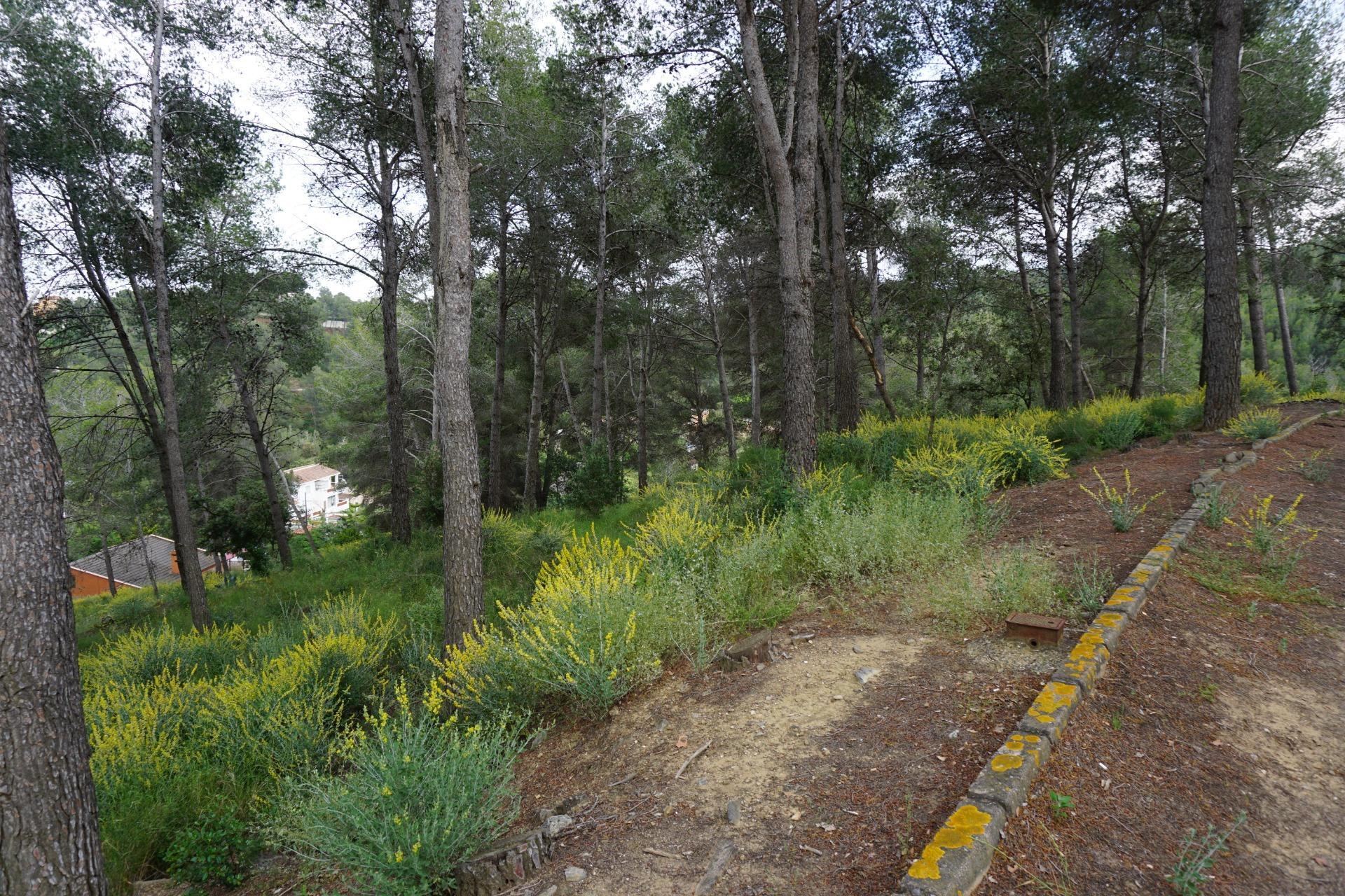 Fincas y solares-Venta-Riudecanyes-1886221-Foto-6