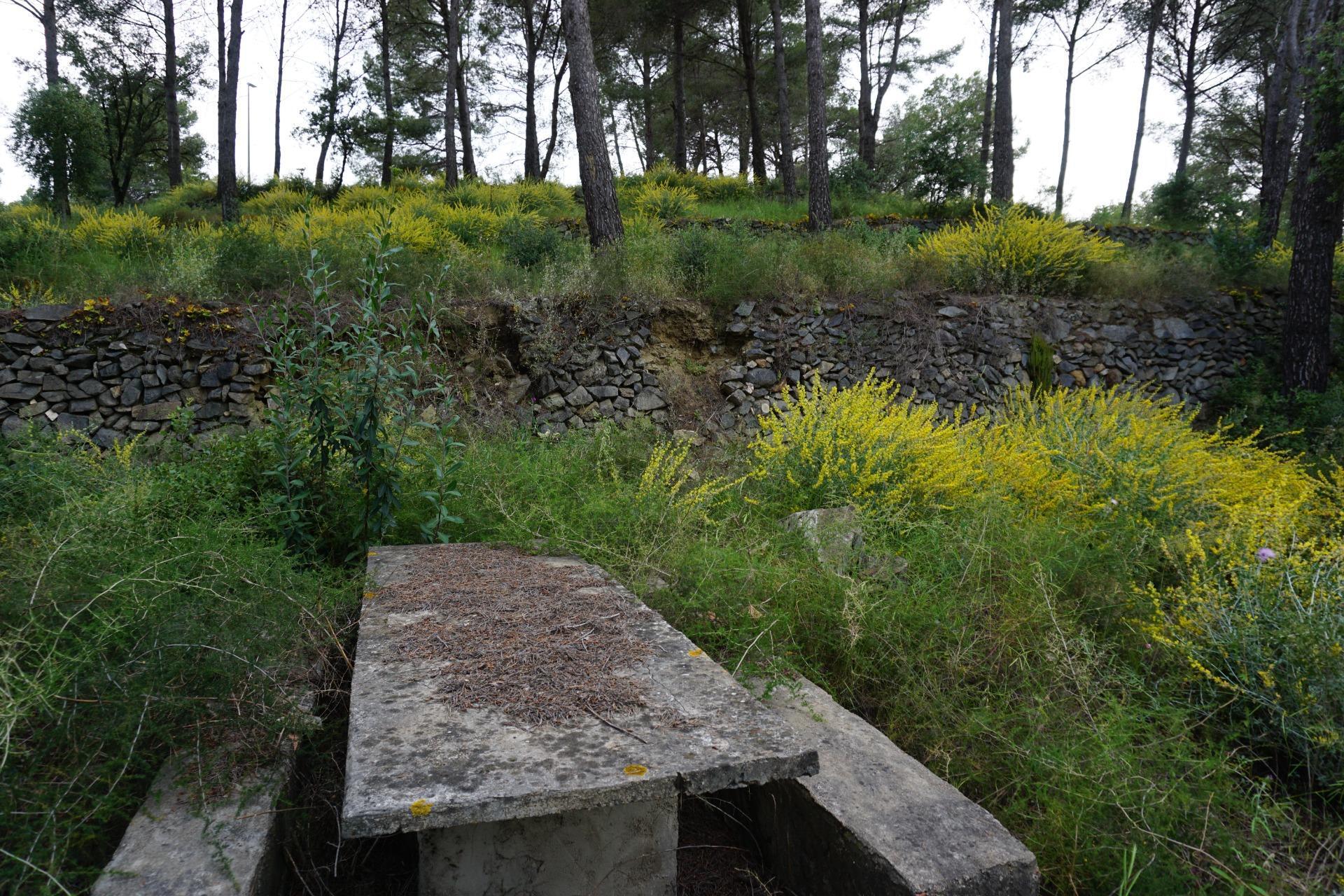 Fincas y solares-Venta-Riudecanyes-1886221-Foto-17