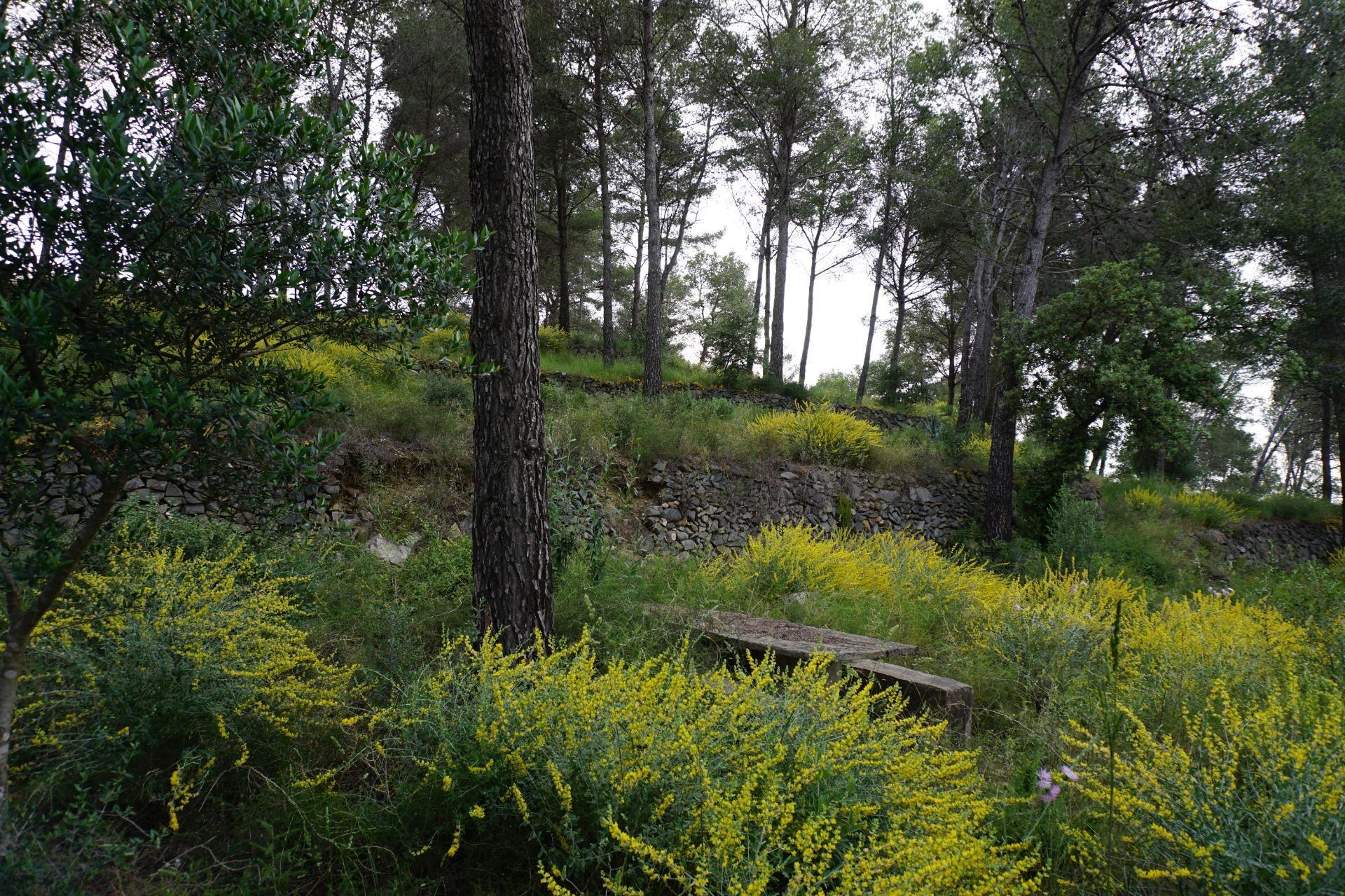 Fincas y solares-Venta-Riudecanyes-1886221-Foto-22