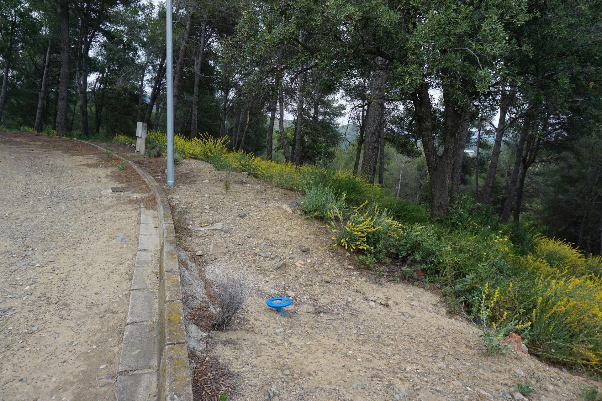 Fincas y solares-Venta-Riudecanyes-1886221-Foto-20