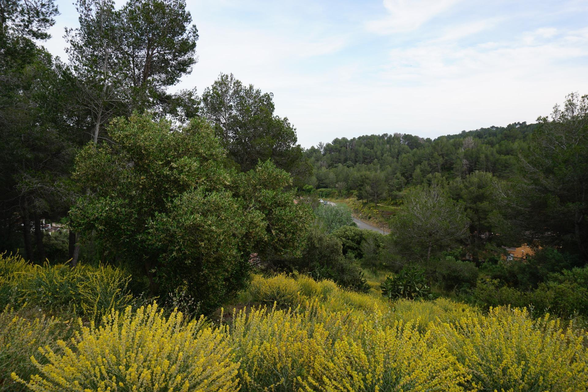 Fincas y solares-Venta-Riudecanyes-1886221-Foto-25