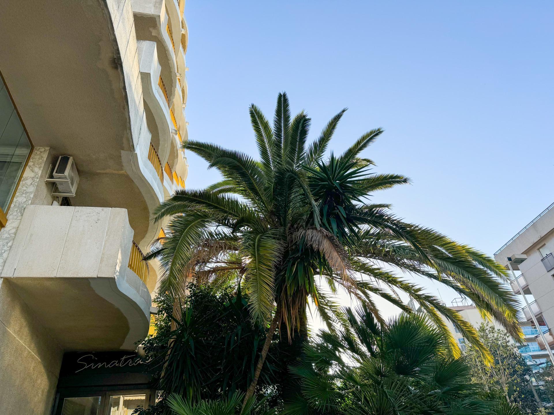 Pisos-Venta-Salou-1886233-Foto-31