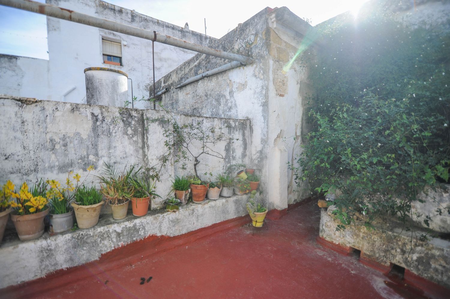 Casas o chalets en Arcos de la Frontera