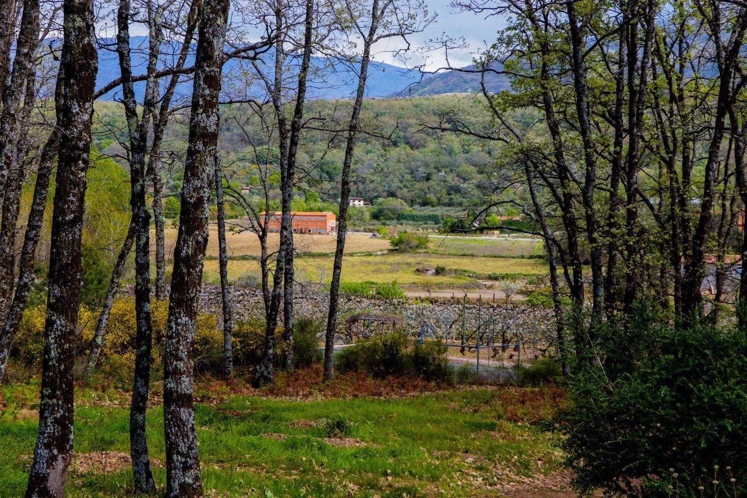 Pisos en Jarandilla de la Vera
