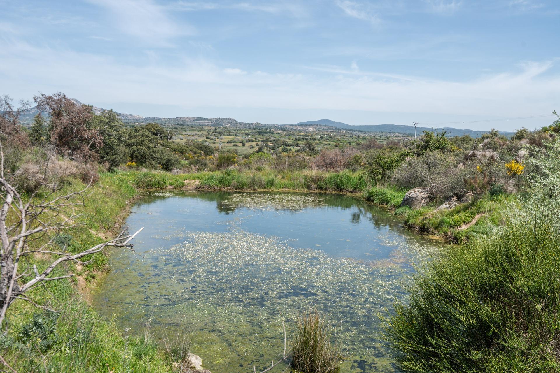 FINCA RÚSTICA EXCEPCIONAL A 1 HORA DE MADRID ? NATURALEZA, ENCANTO Y POTENCIAL EN ALMOROX Se venden