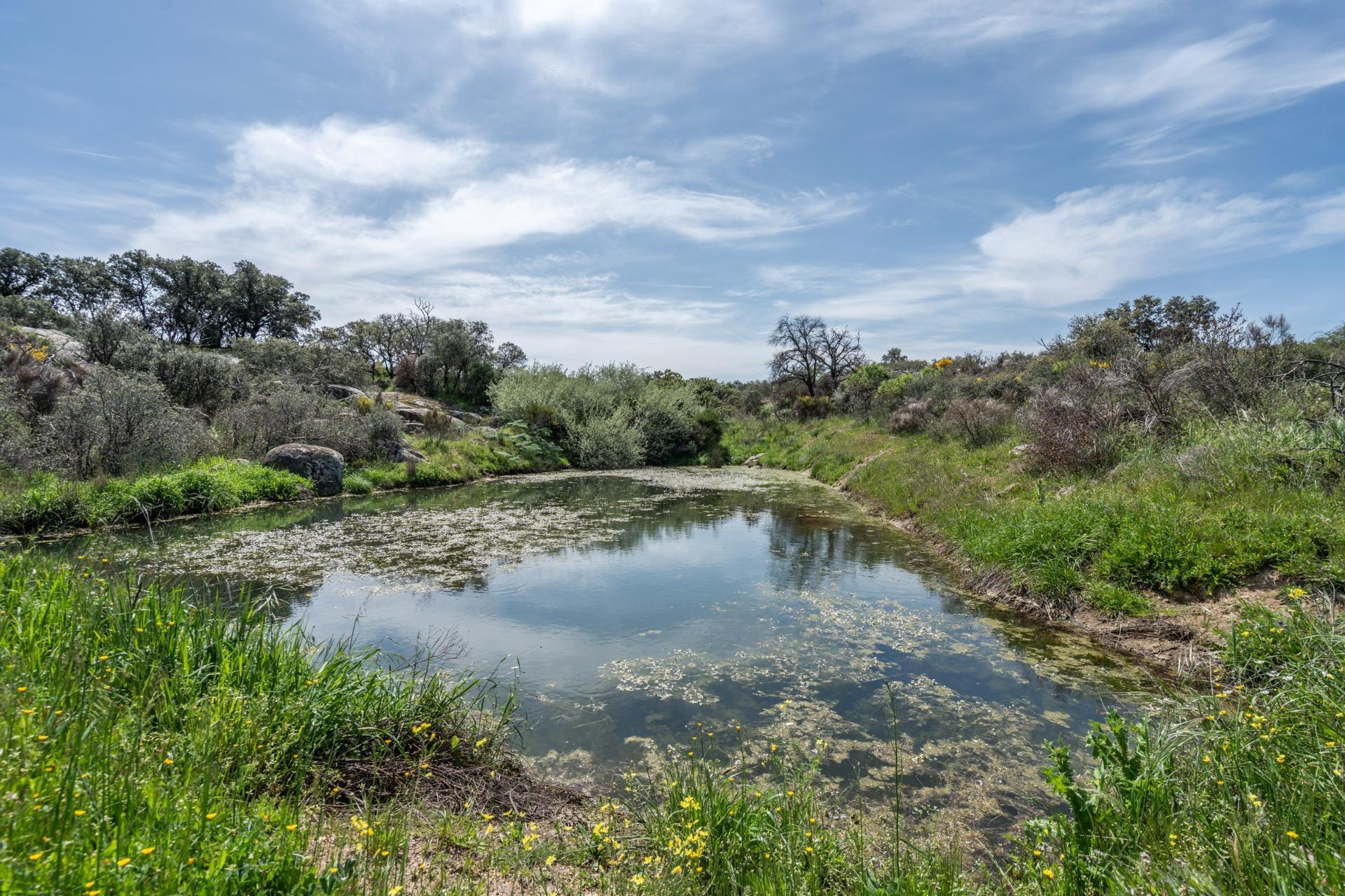 FINCA RÚSTICA EXCEPCIONAL A 1 HORA DE MADRID ? NATURALEZA, ENCANTO Y POTENCIAL EN ALMOROX Se venden